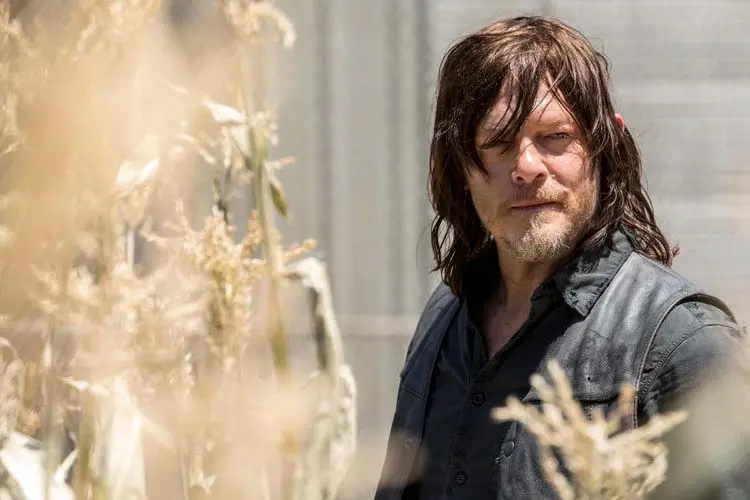the walking dead