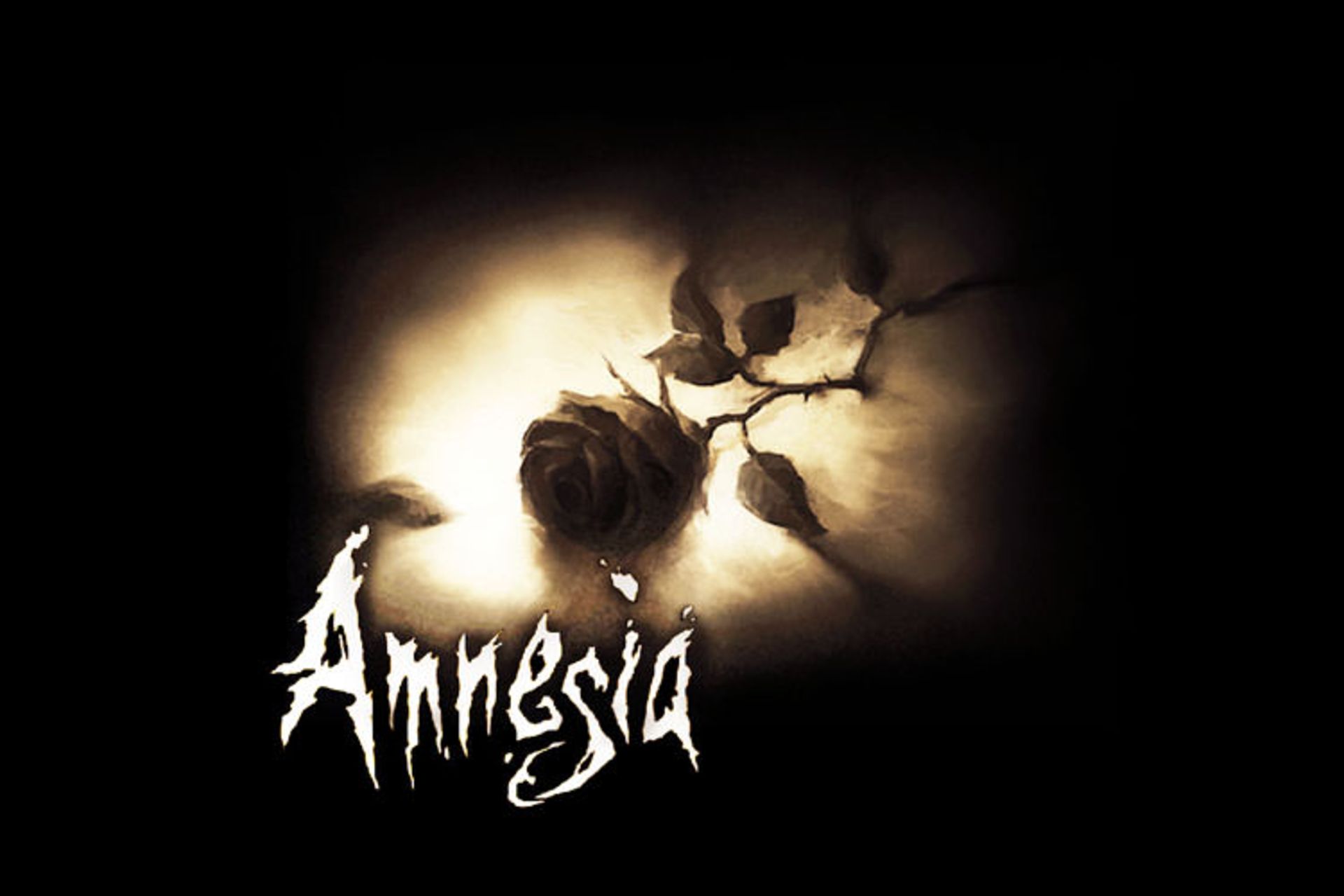 Amnesia