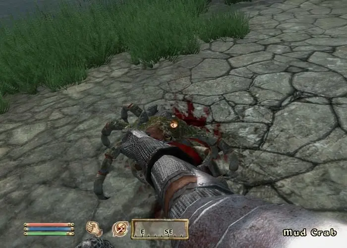 Fighting mud craps in oblivion