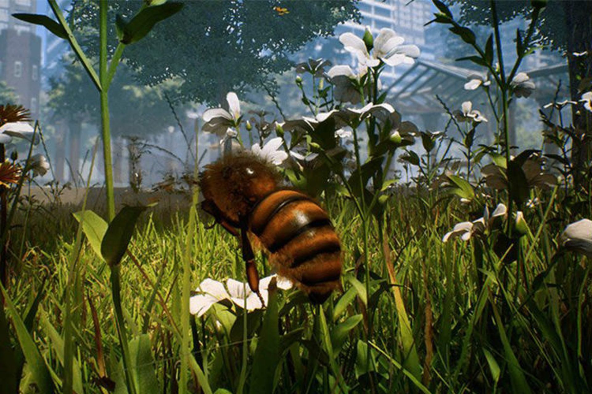 Bee Simulator 2