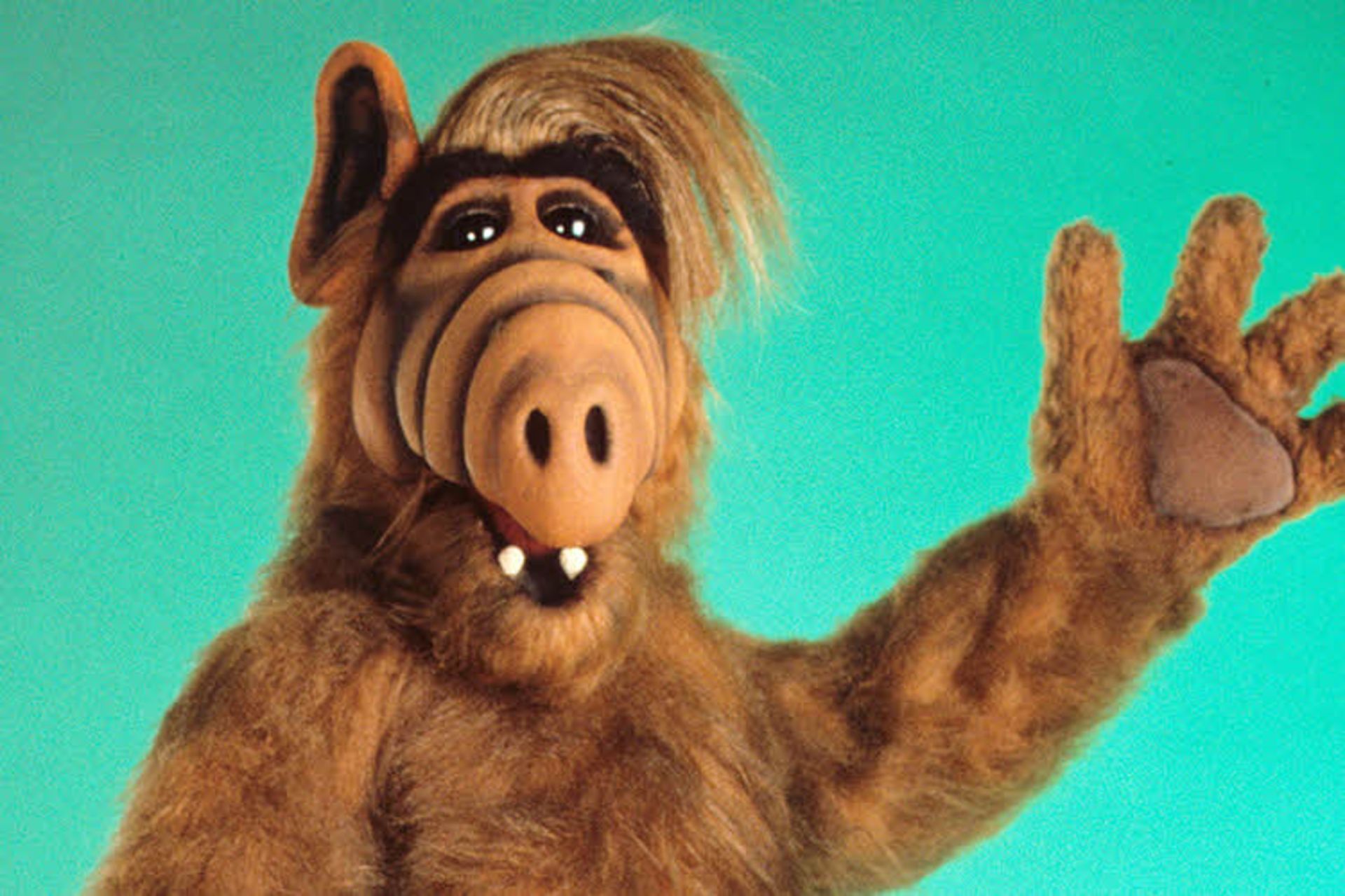 ALF 
