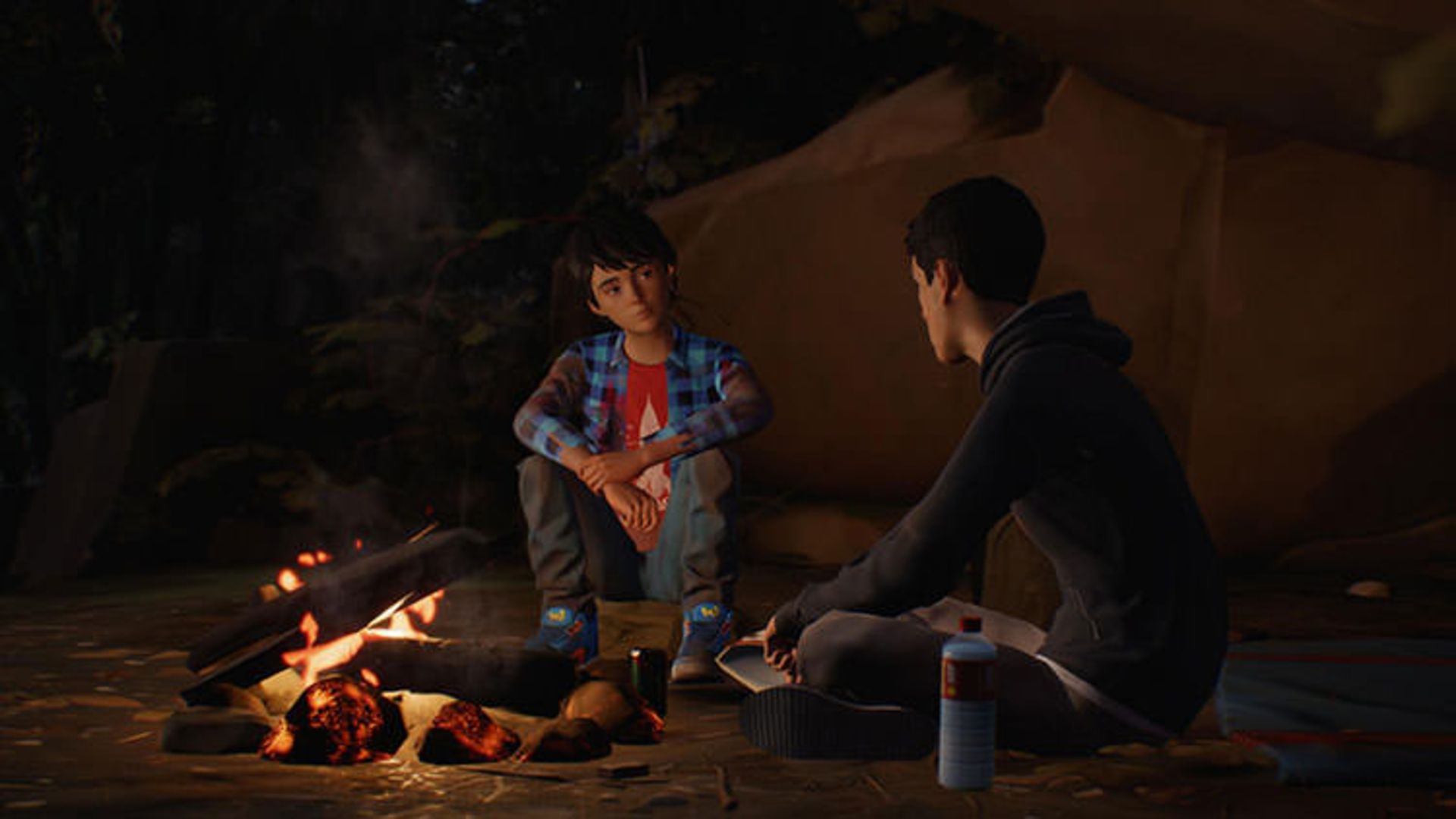 بازی Life is Strange 2