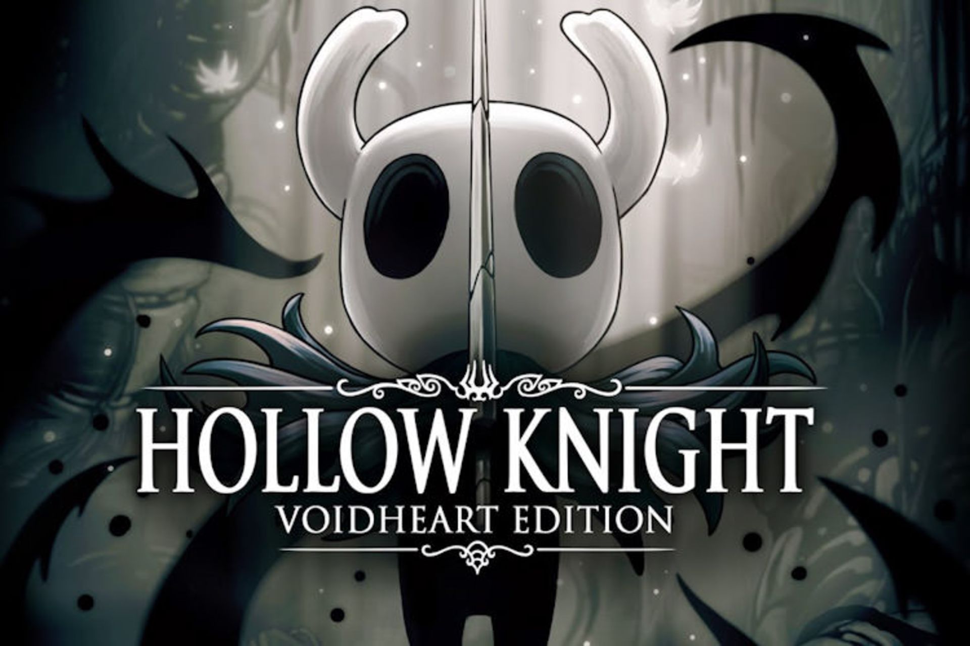 بازی Hollow Knight: Voidheart Edition