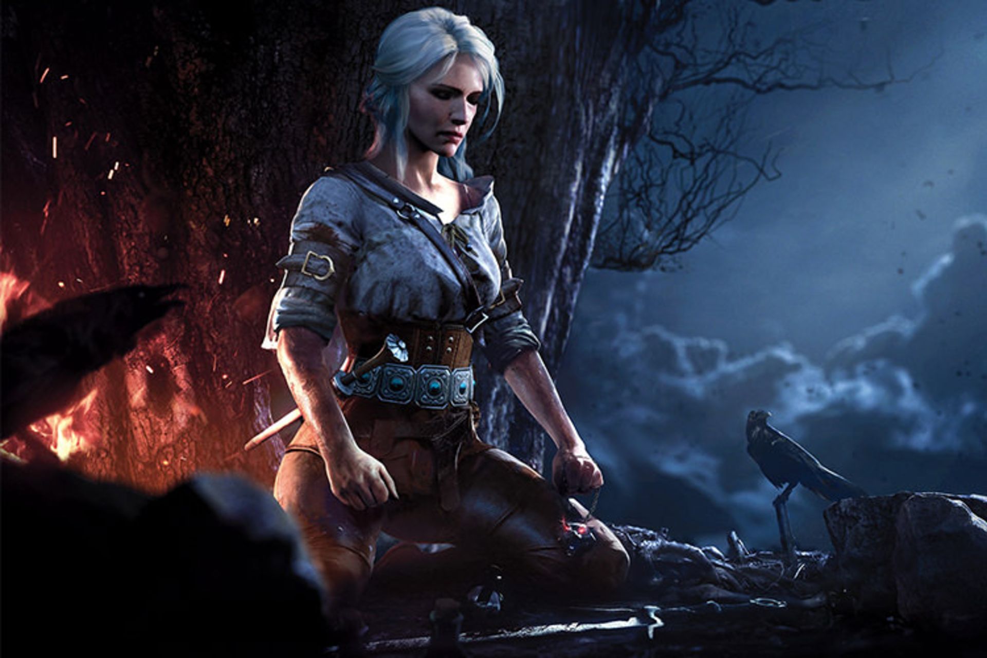 The Witcher 3