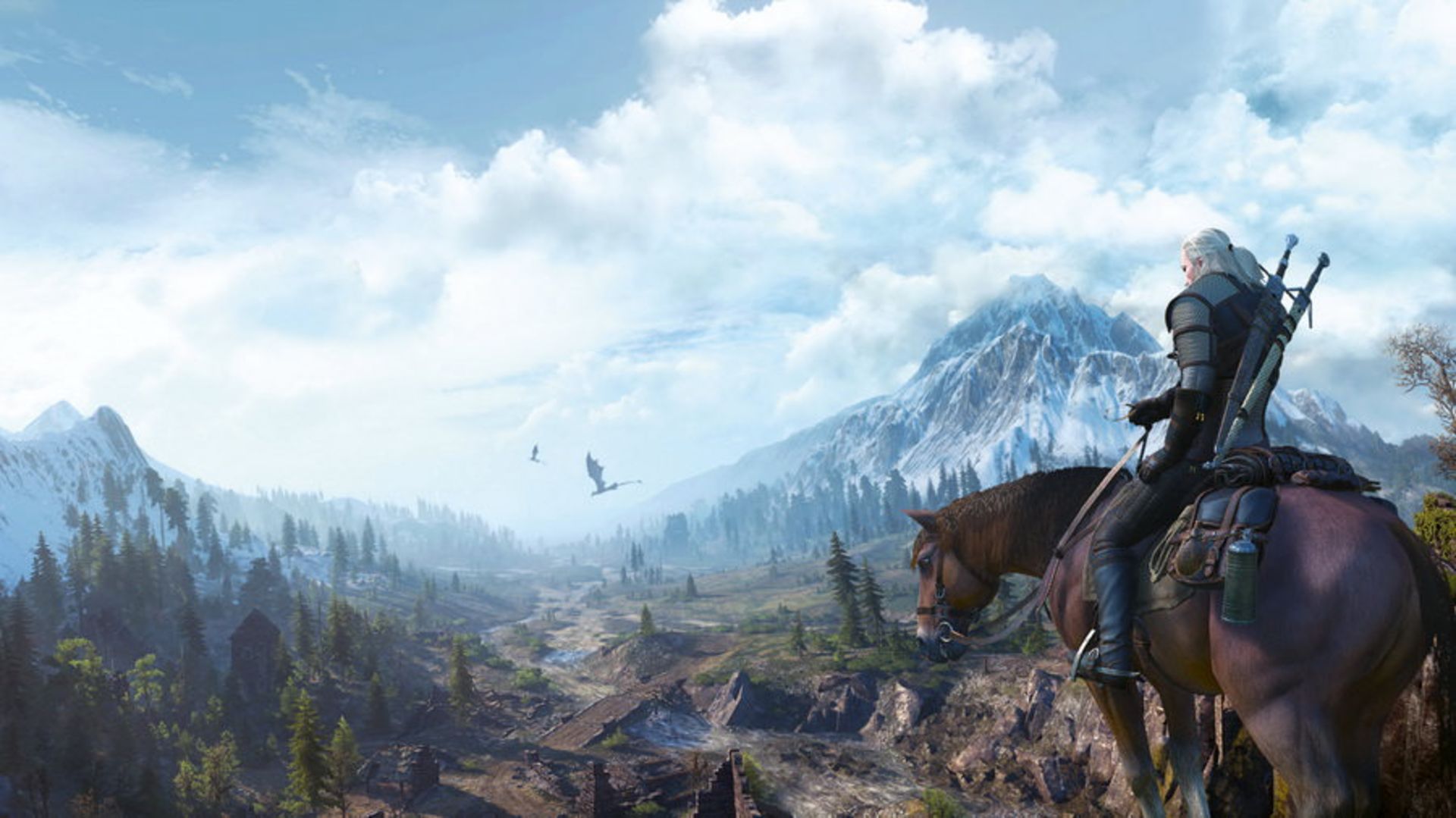 The Witcher