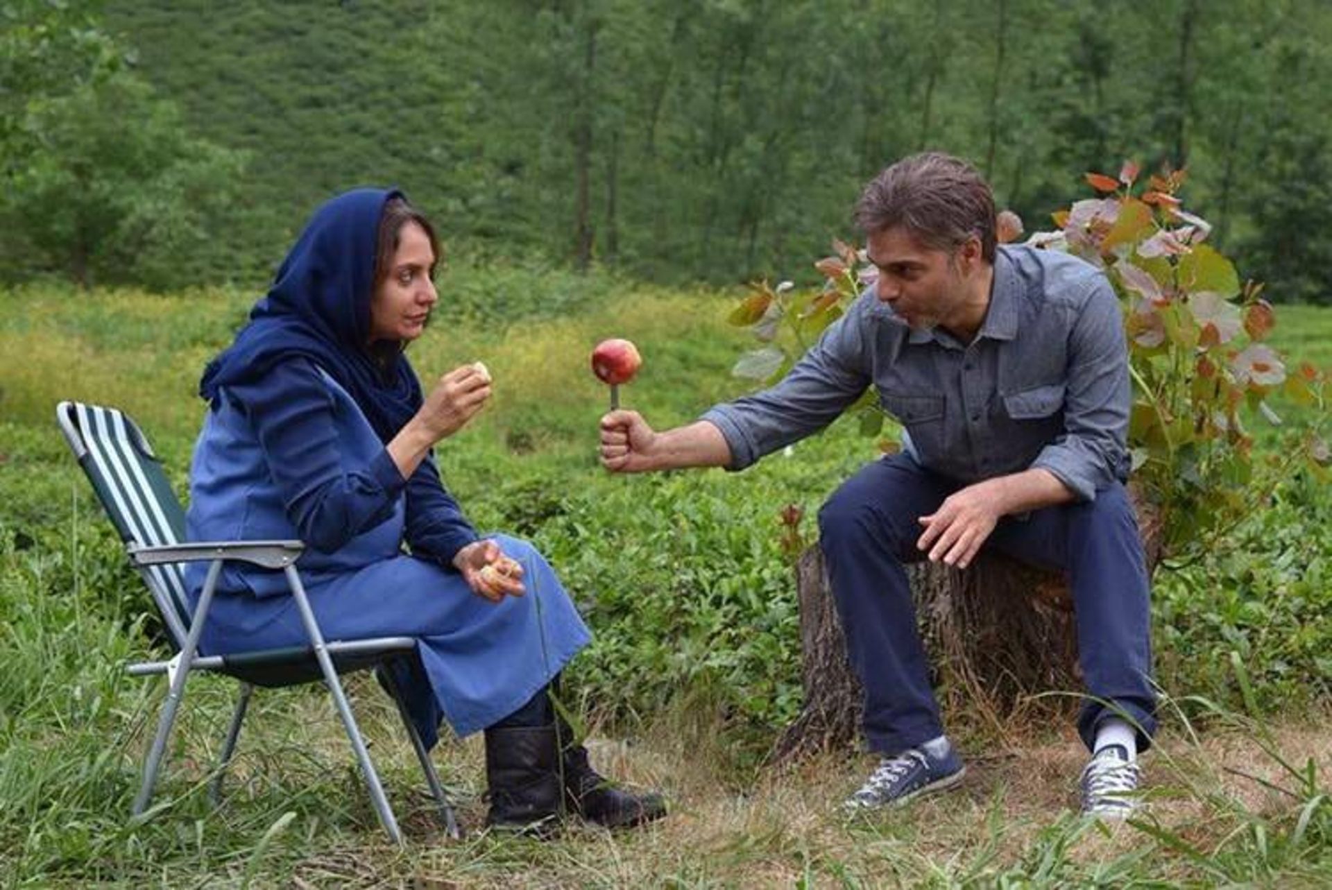 فیلم ناگهان درخت