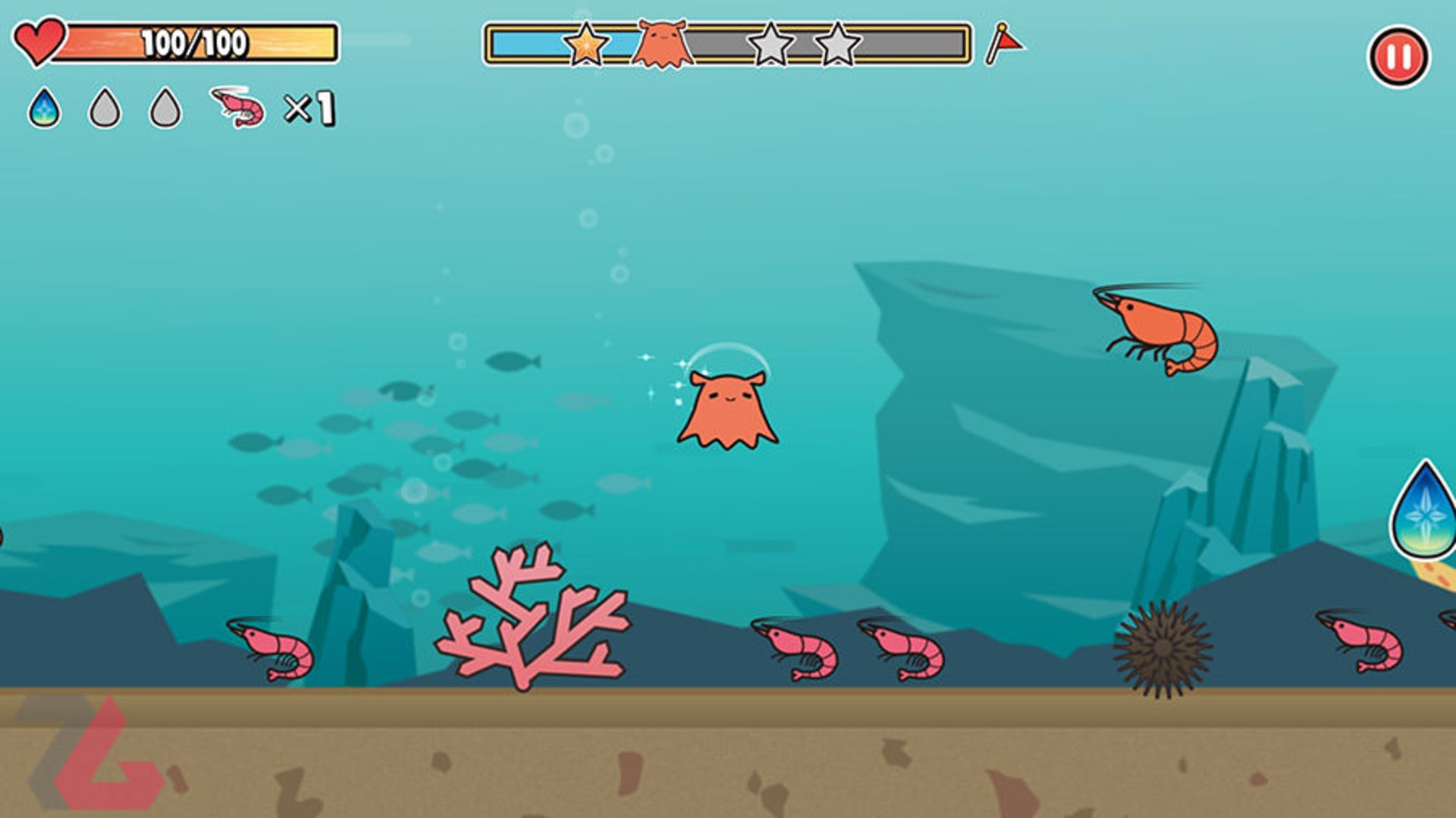 Aquatic Life Adventures