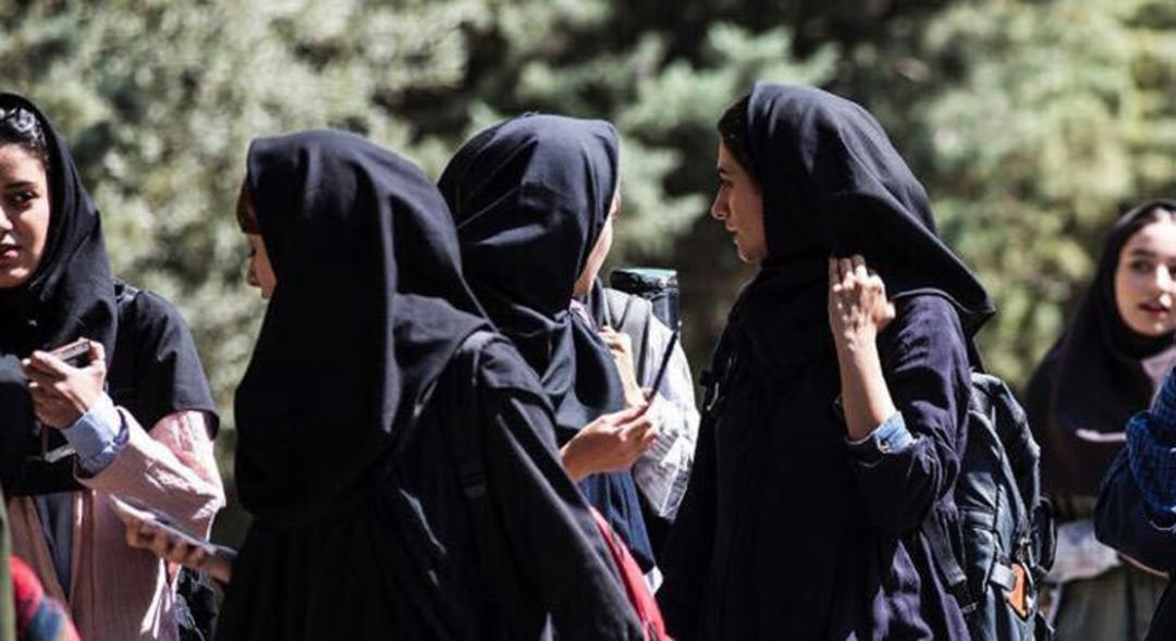 سال دوم دانشکده من