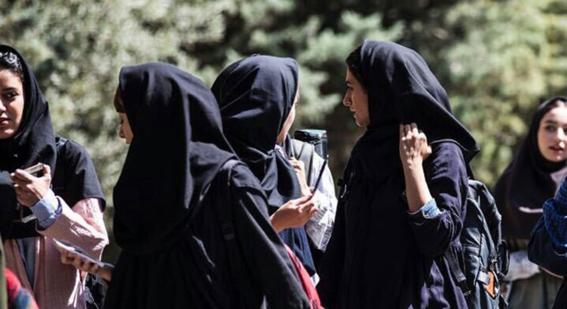سال دوم دانشکده من
