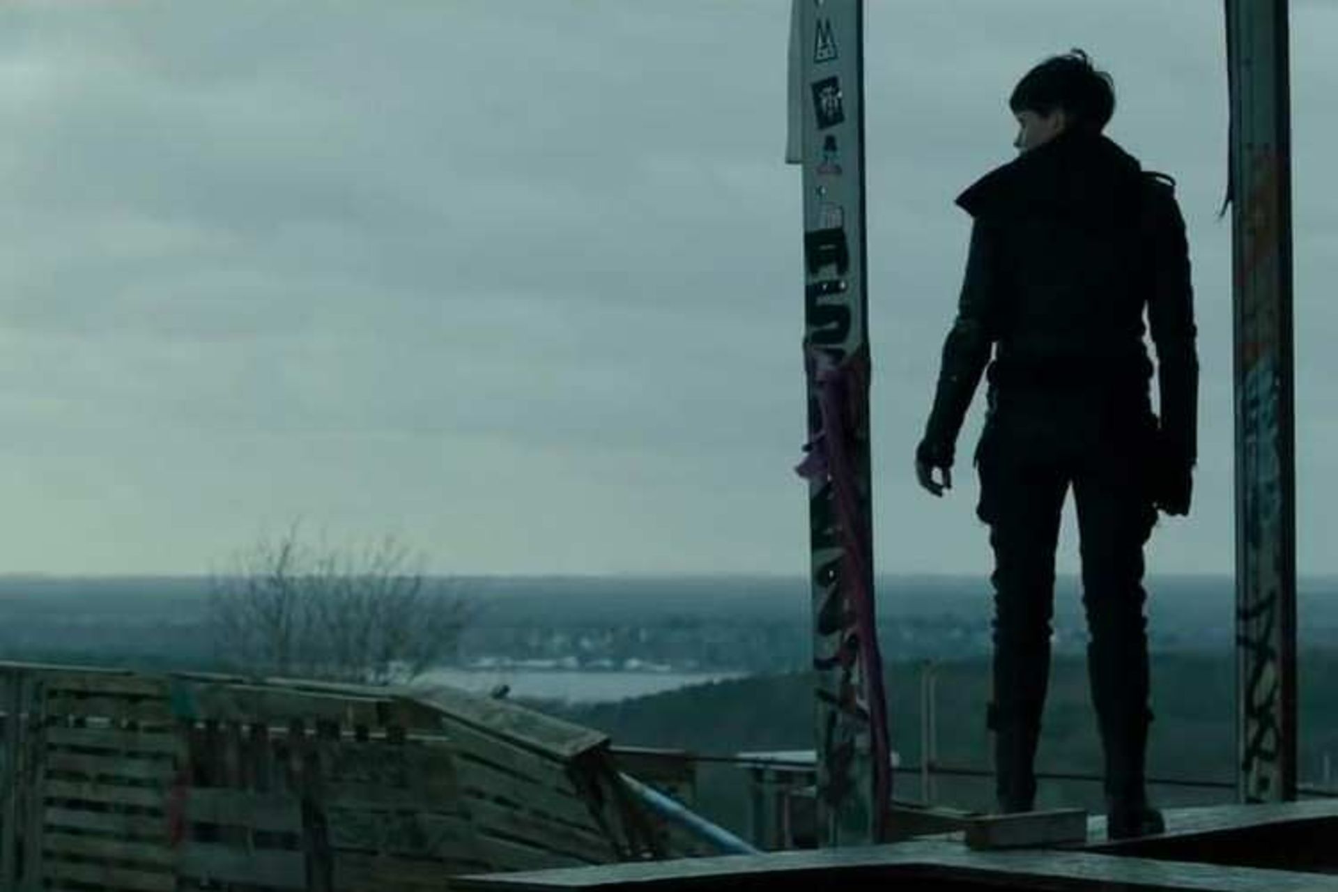 The Girl in the Spider's Web