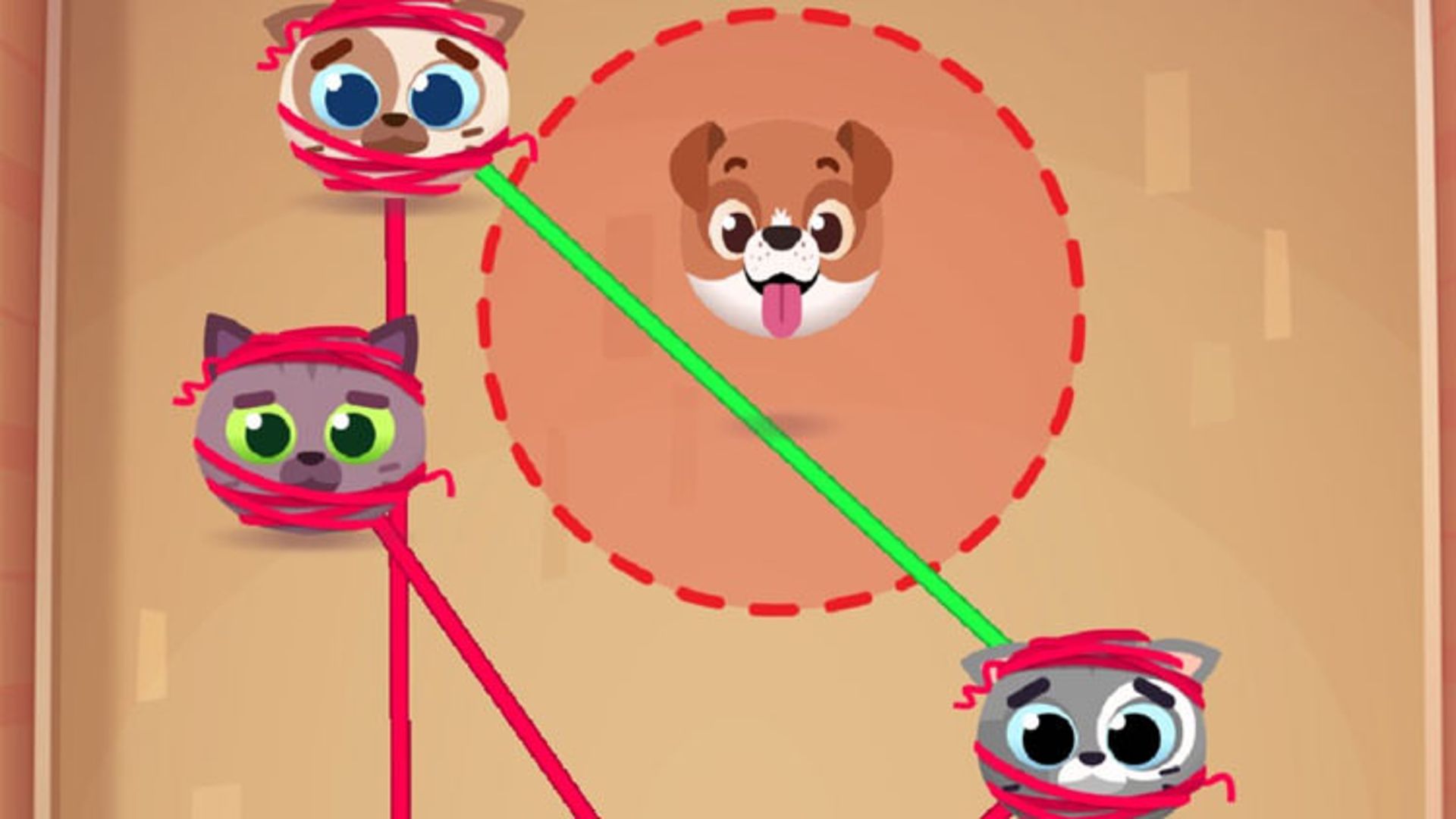 Knotty Cats