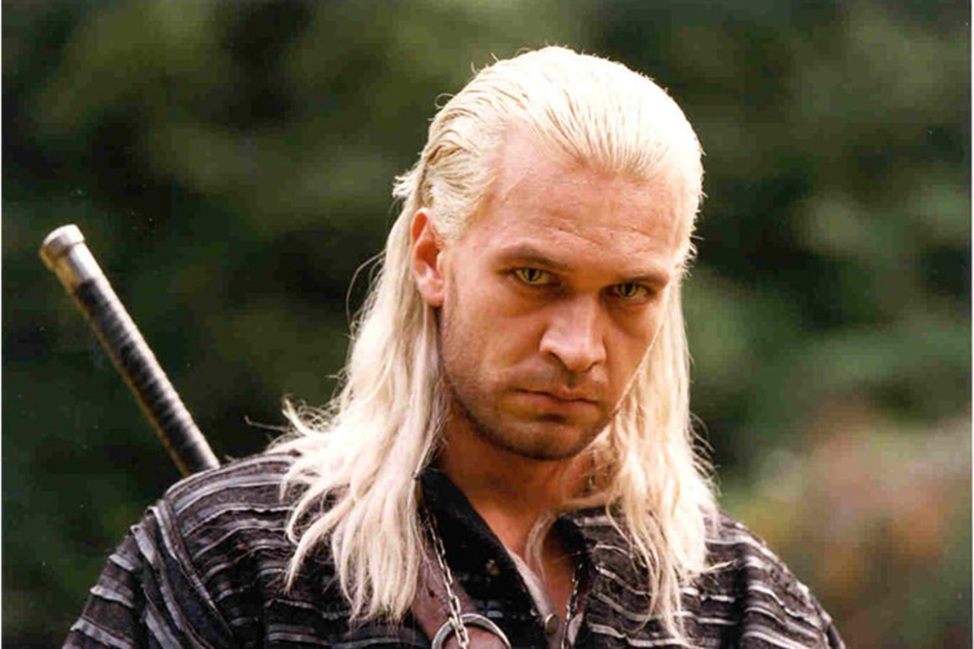   Michal Zebrowski The Witcher 
