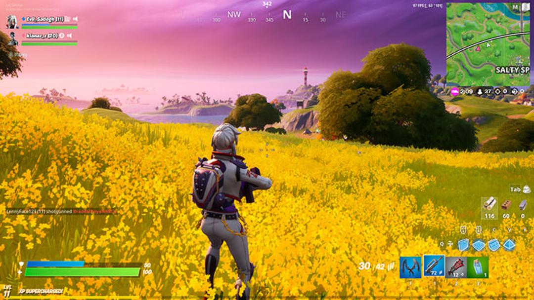 چشم انداز زیبا فورتنایت