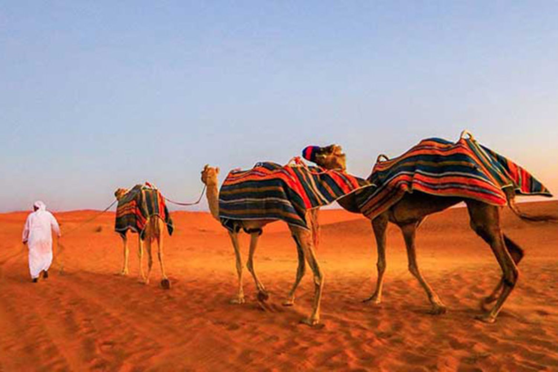 دبی