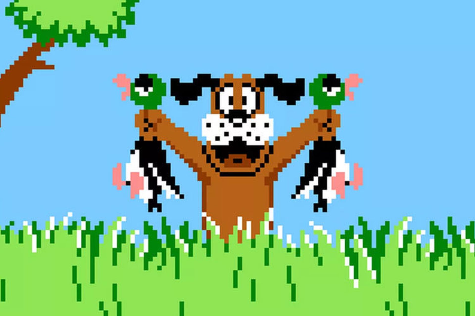 Duck Hunt