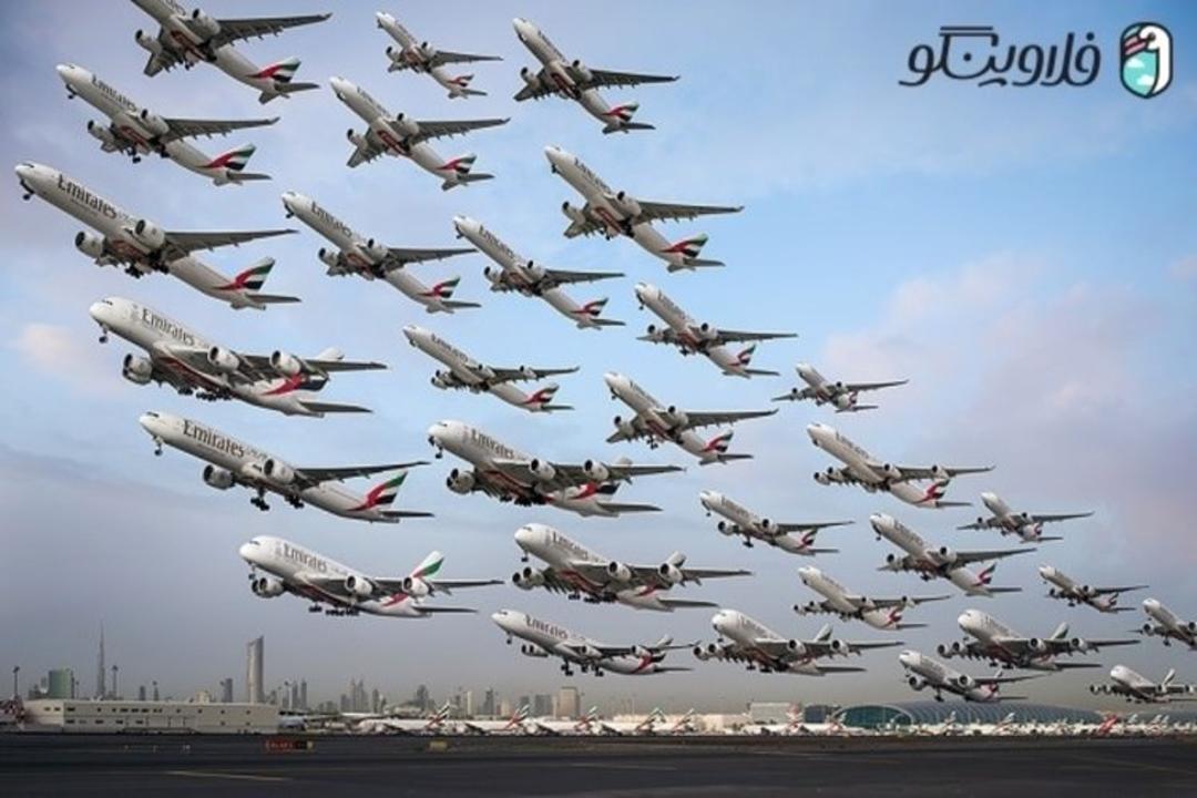 فلاوینگو