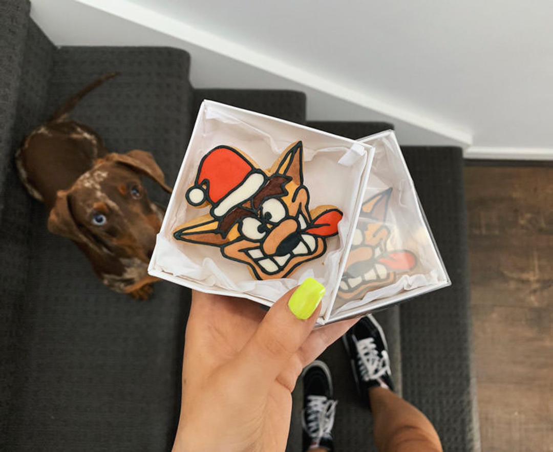 Crash Bandicoot