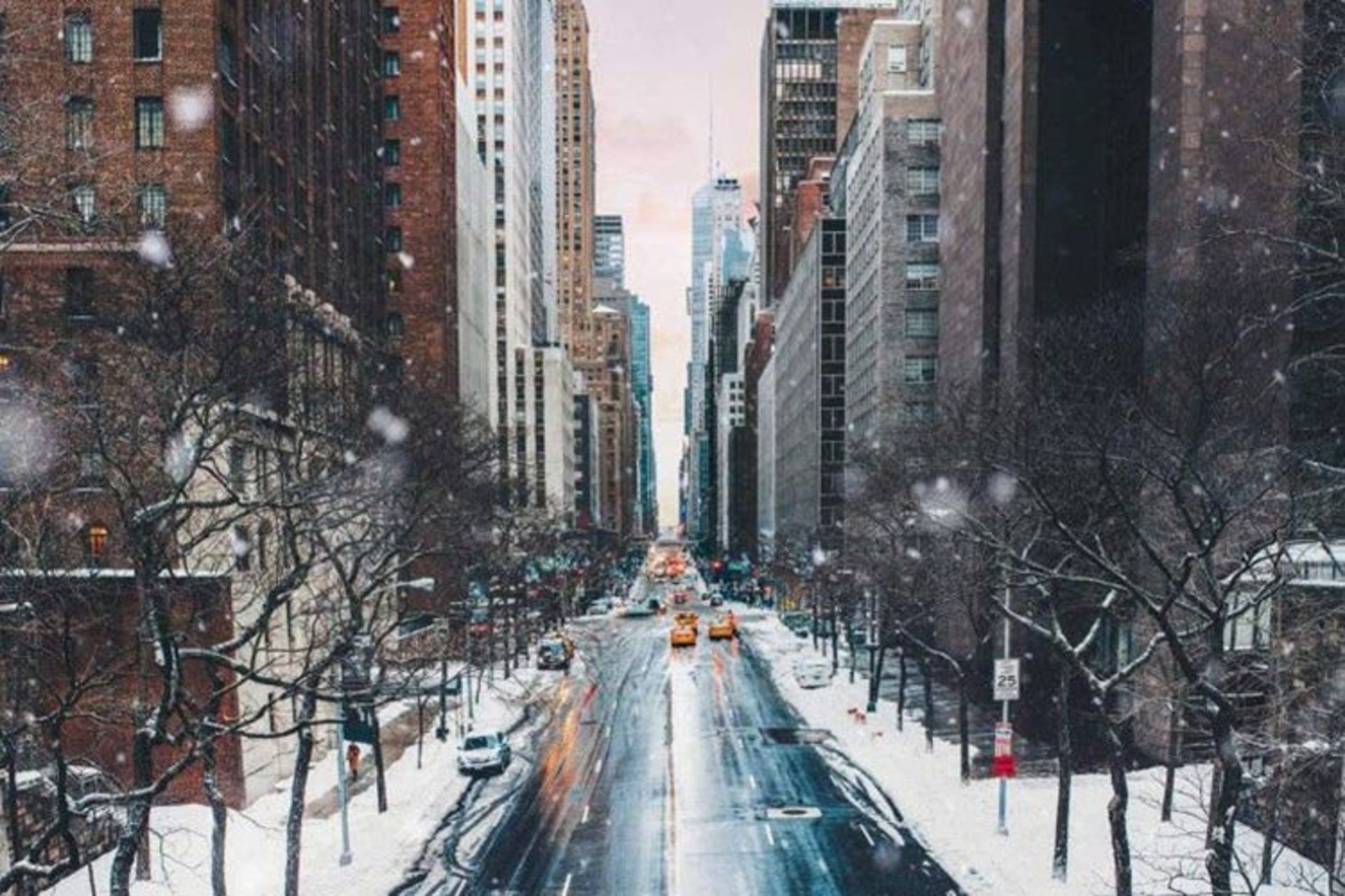 کریسمس نیویورک