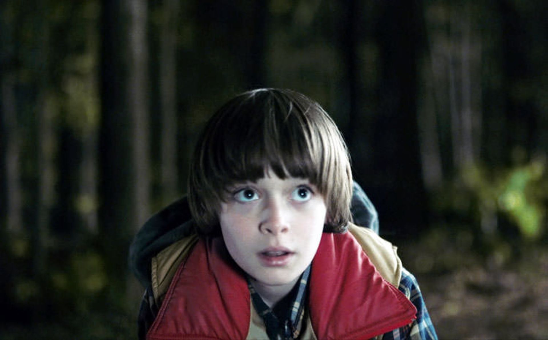 Noah Schnapp