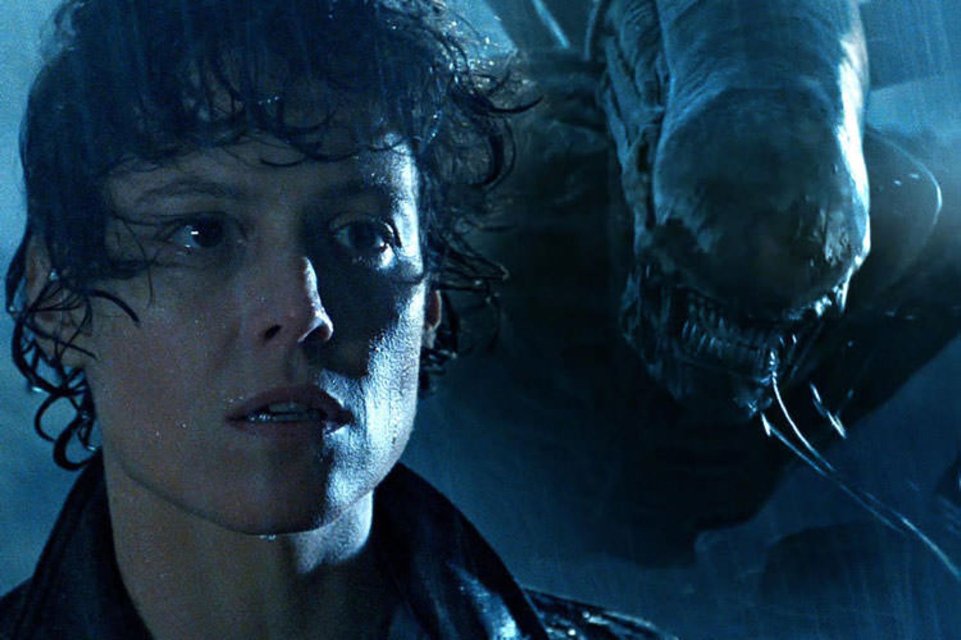 Alien
