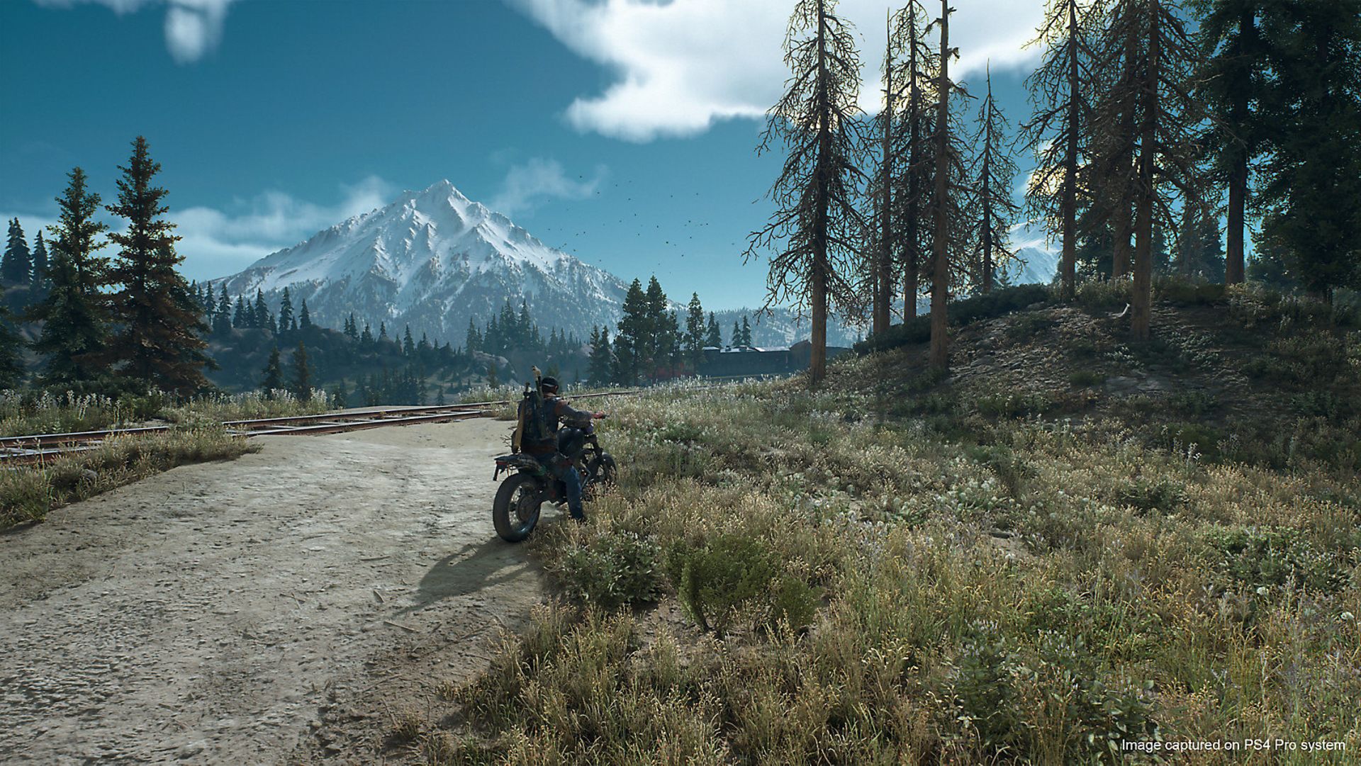 Days Gone 