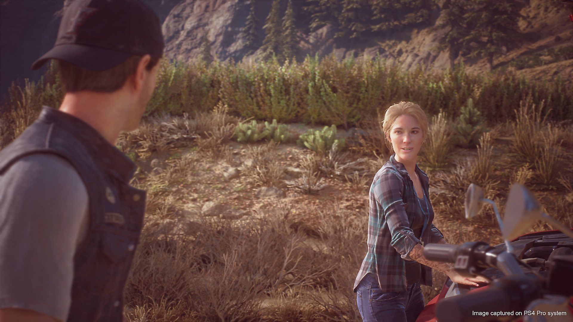 Days Gone 