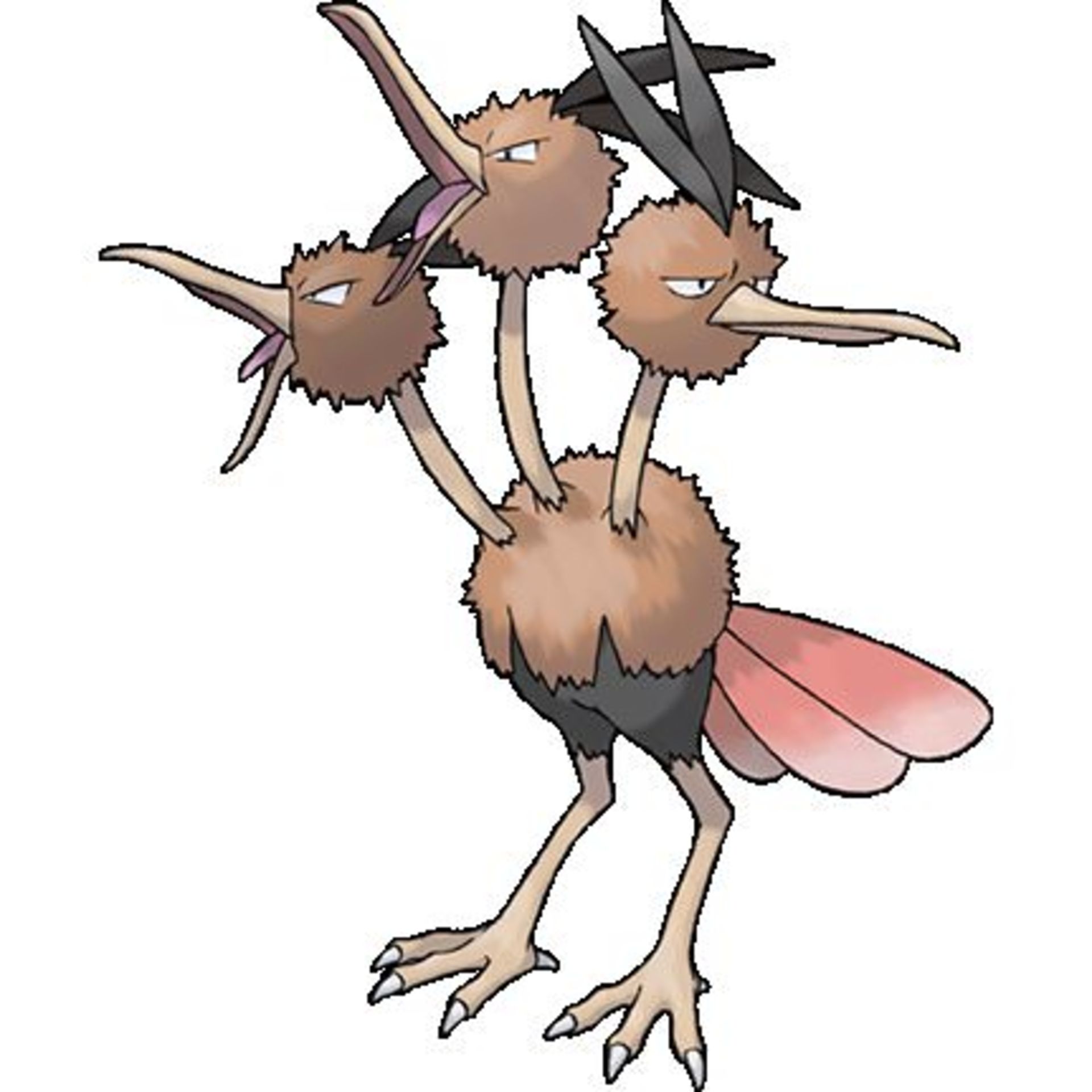 Dodrio