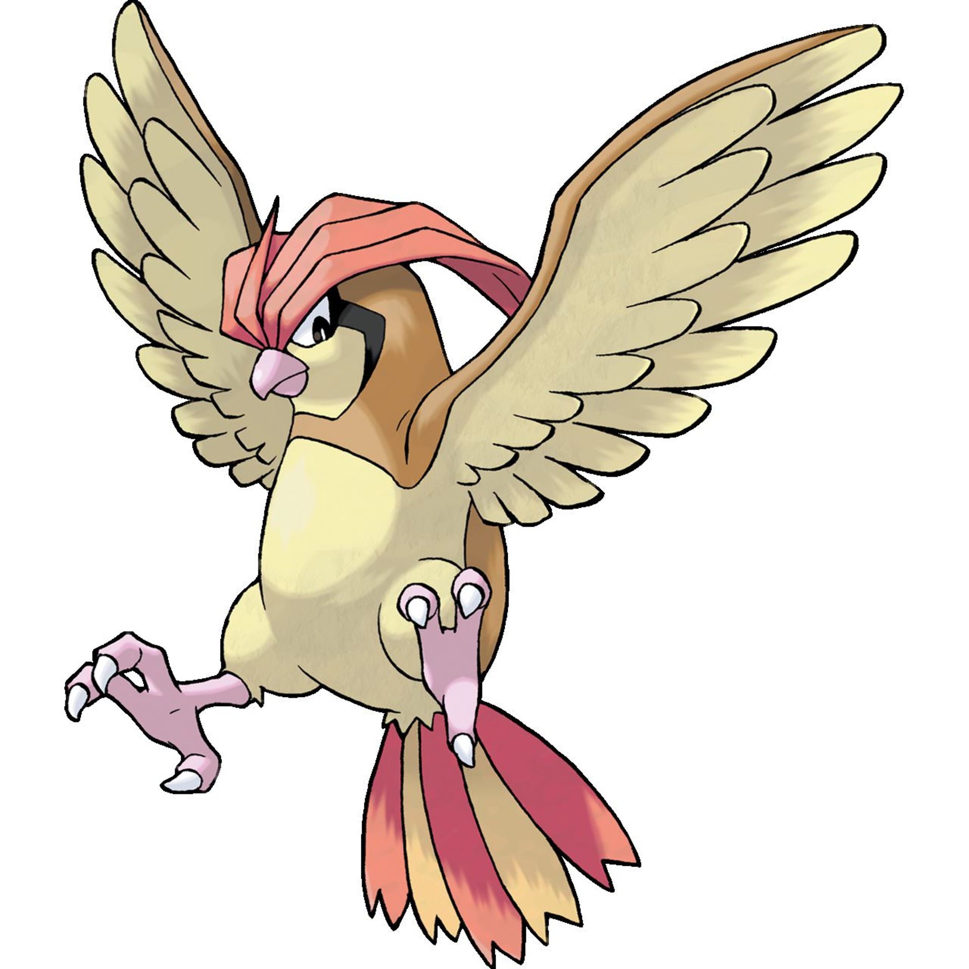 Pidgeotto