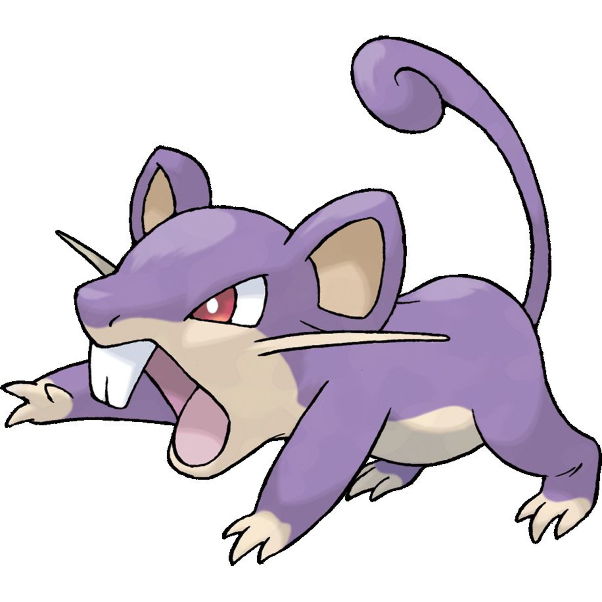 Rattata