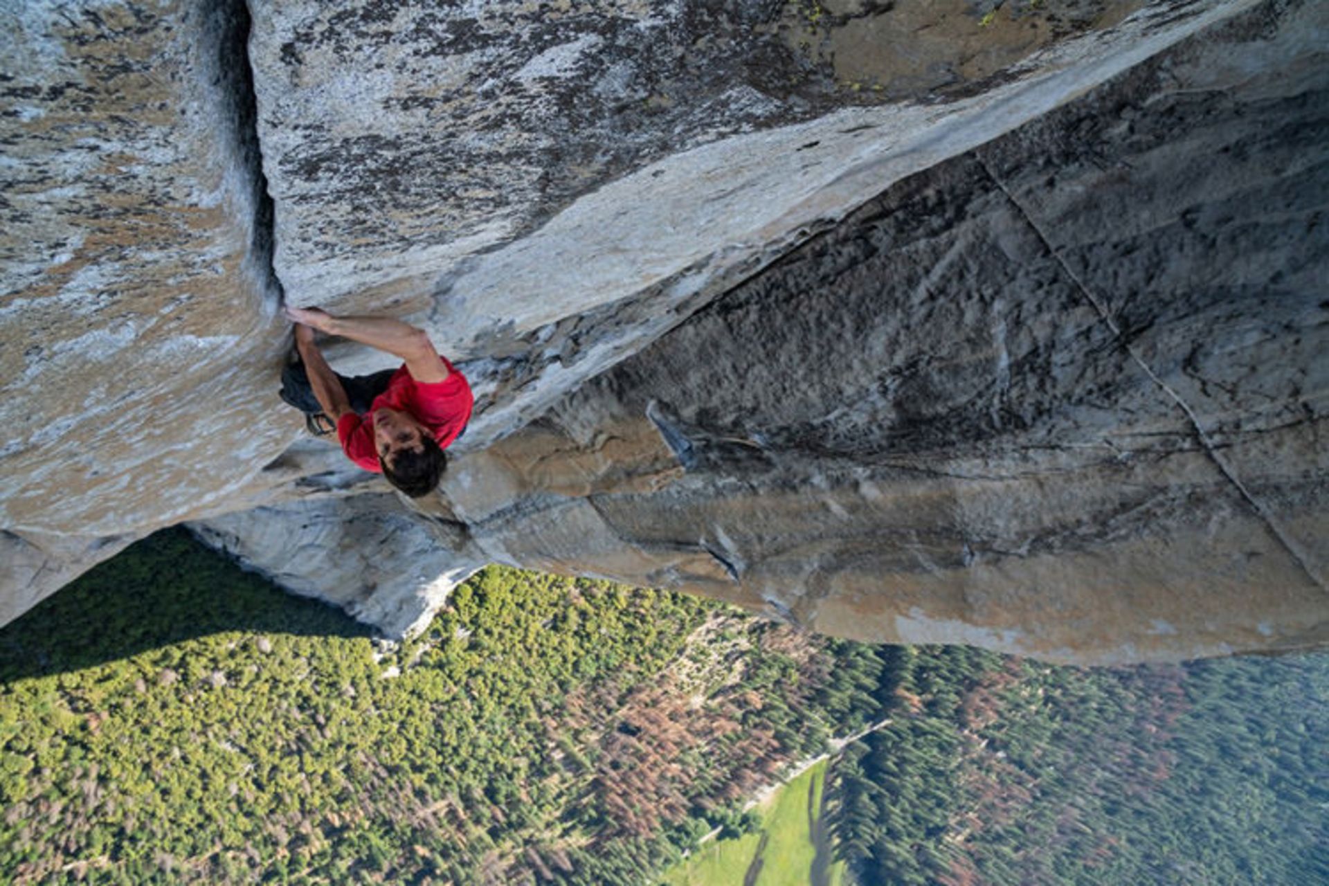 فیلم free solo