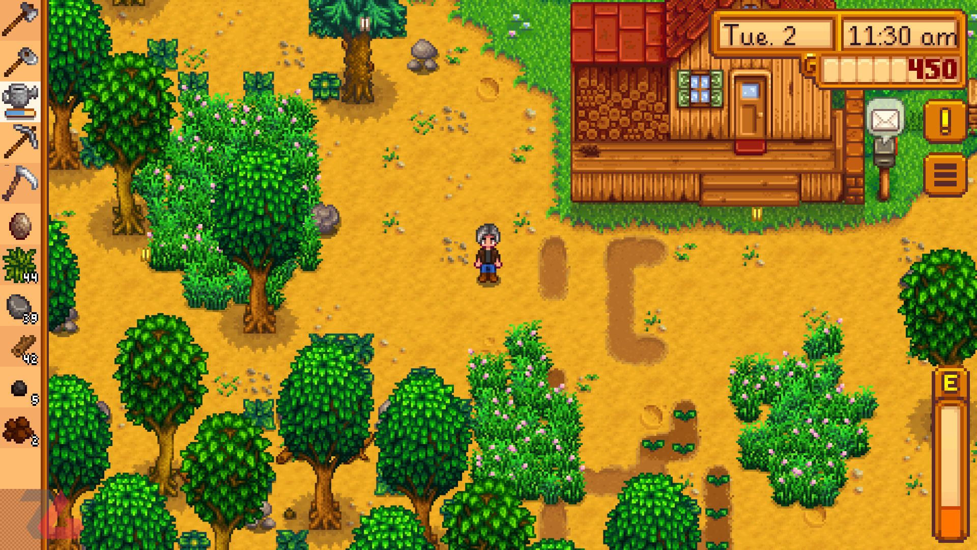 بازی Stardew Valley