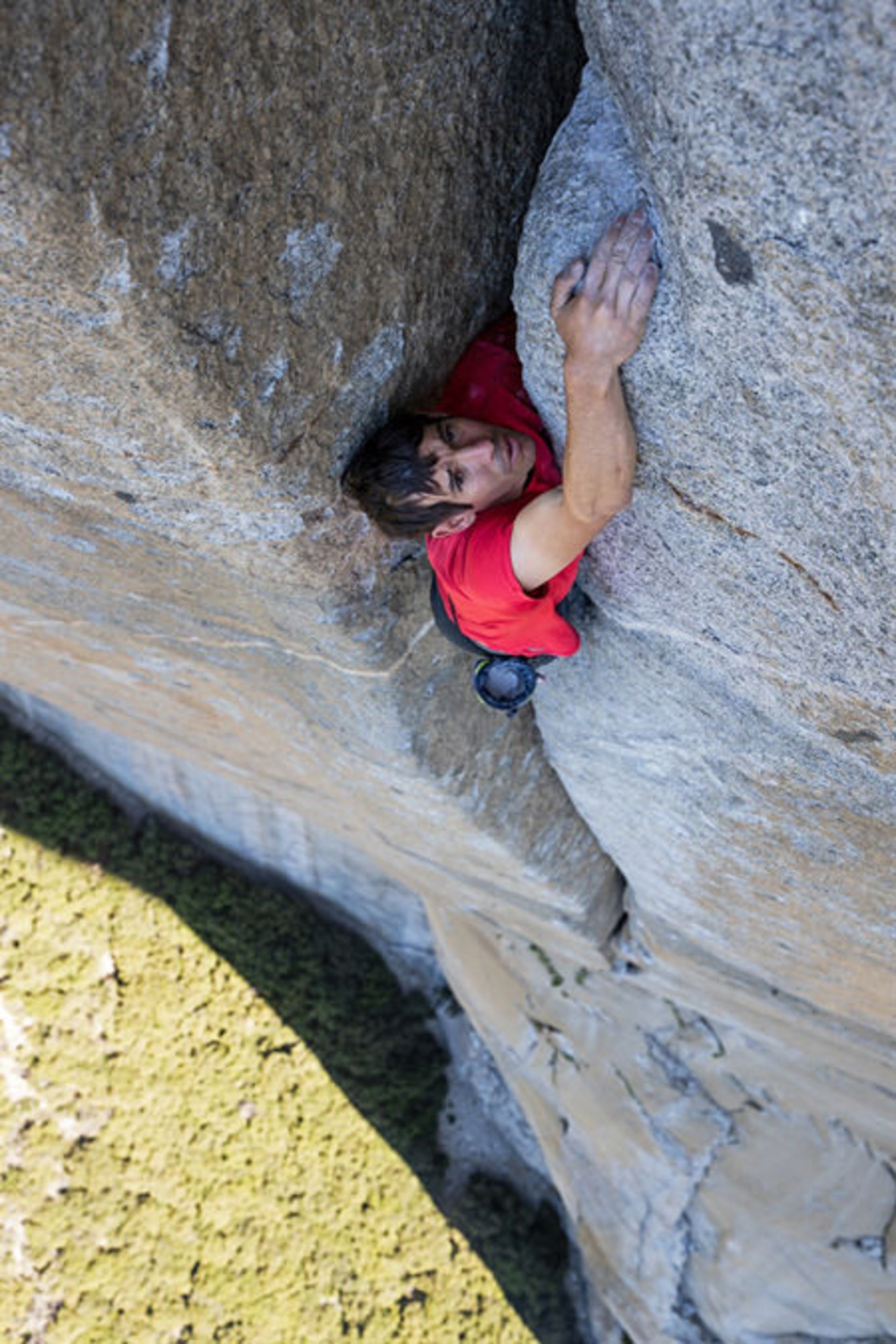 فیلم free solo