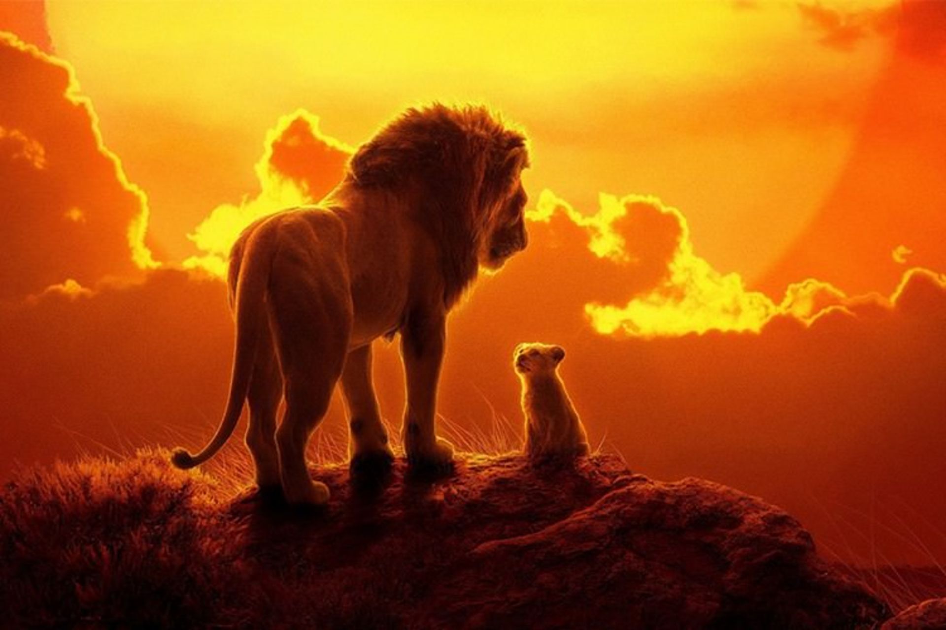 The Lion King