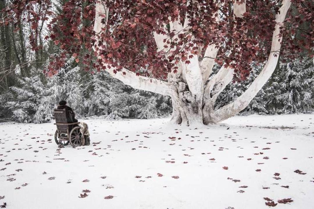 تصویر فصل هشتم سریال Game of Thrones