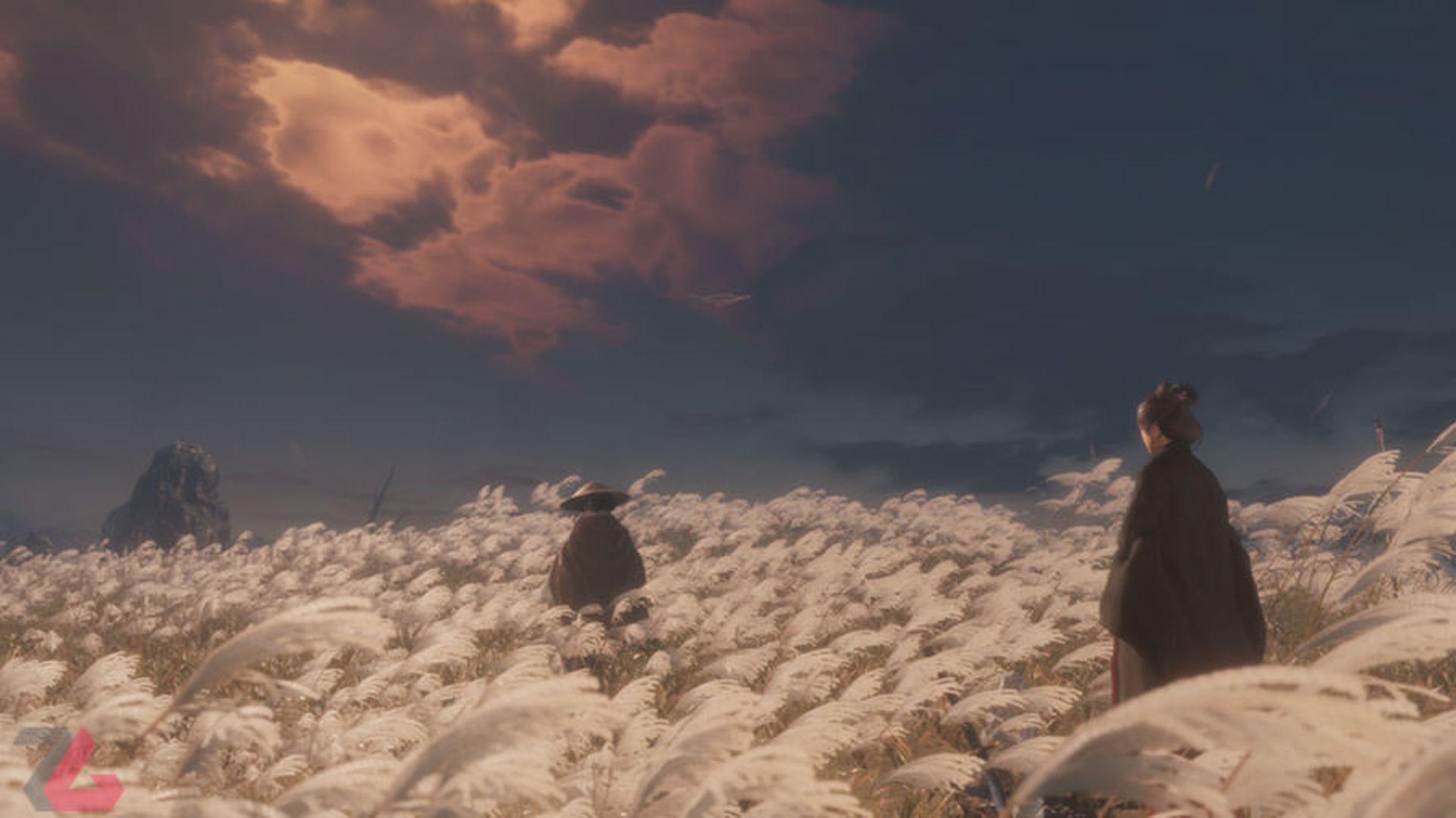 Sekiro: Shaodws Die Twice