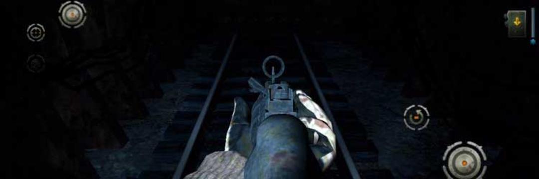 Z.O.N.A Shadow of Lemansk