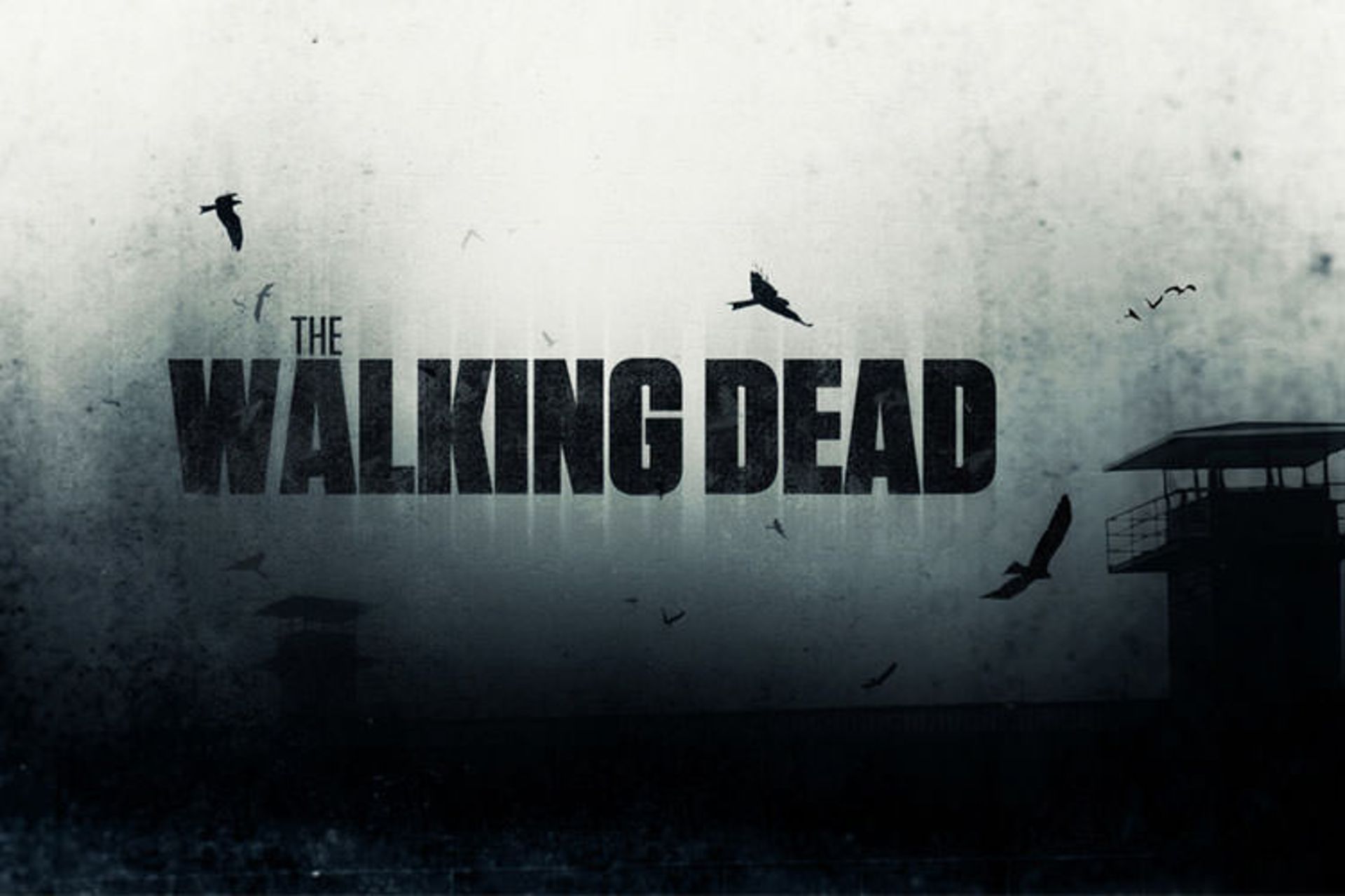 The Walking Dead 