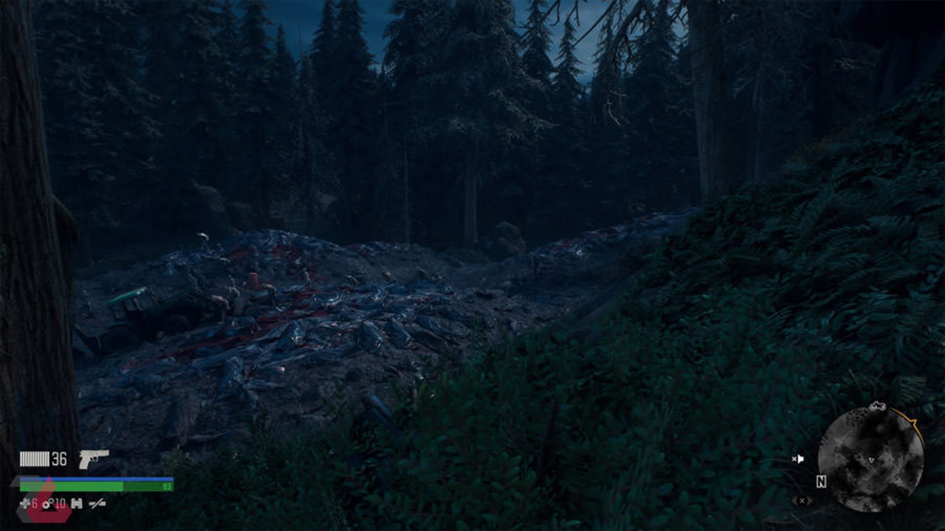 Days Gone