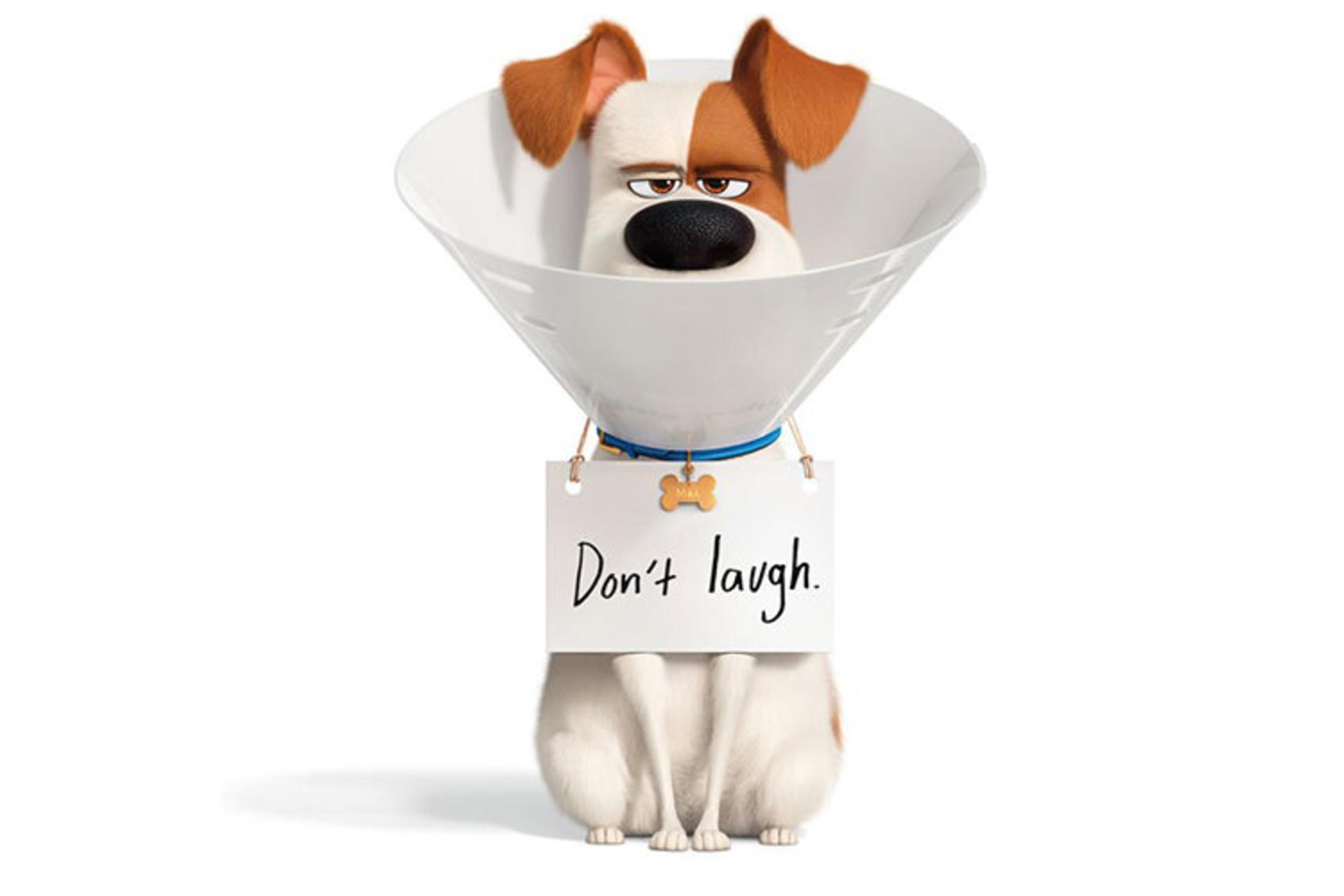 The Secret Life of Pets 2