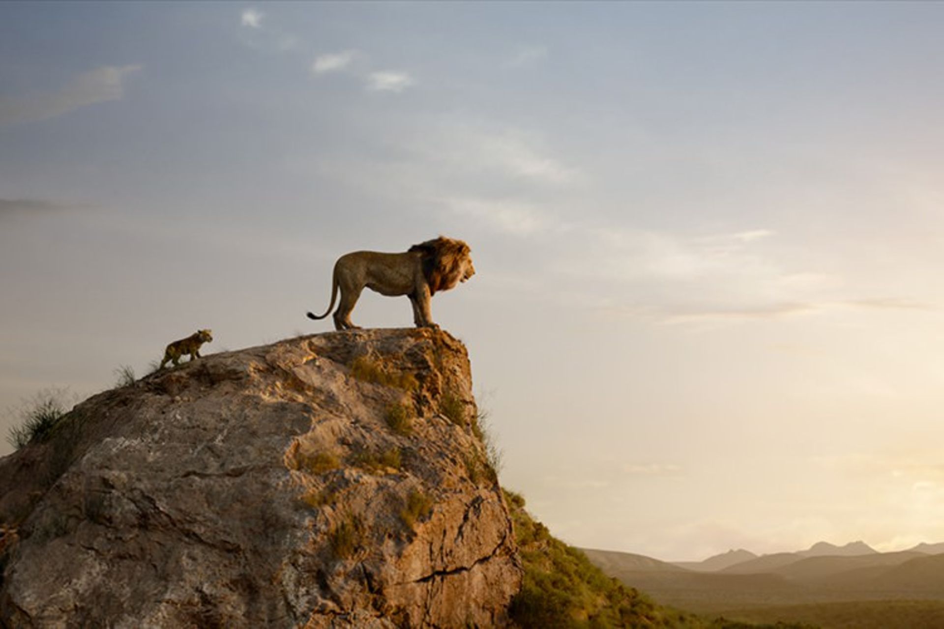 The Lion King