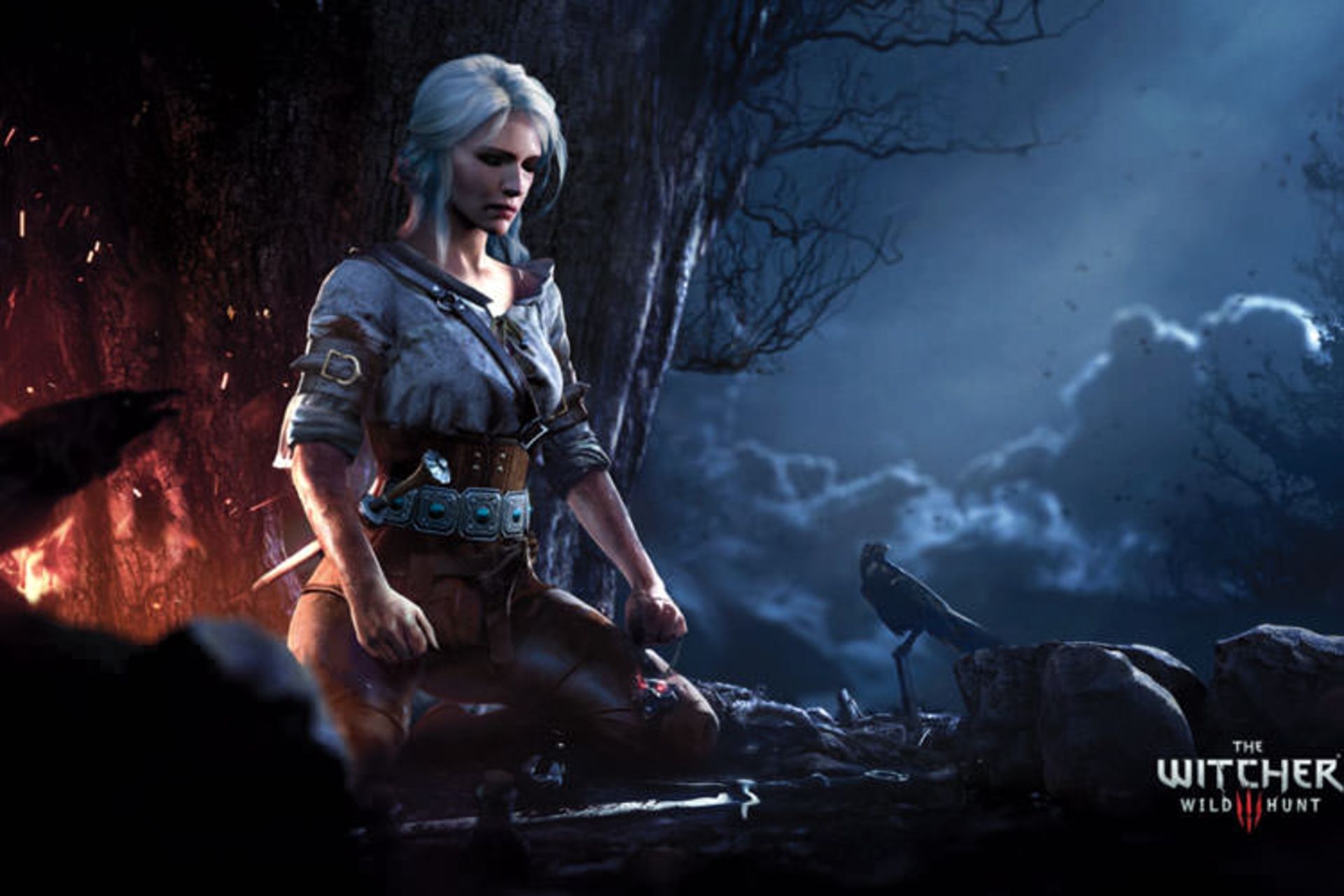 The Witcher 3: Wild Hunt