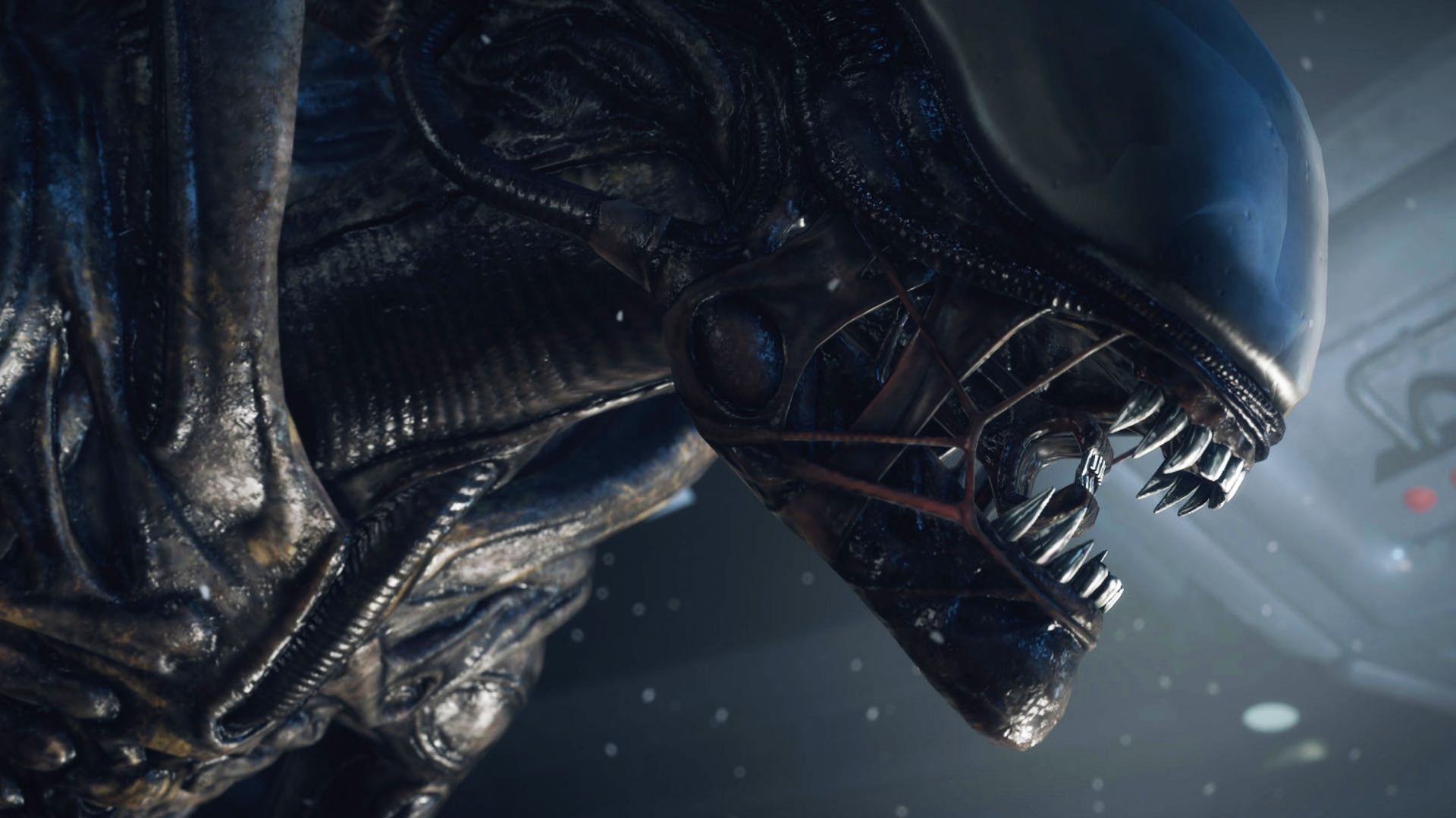 مجموعه alien