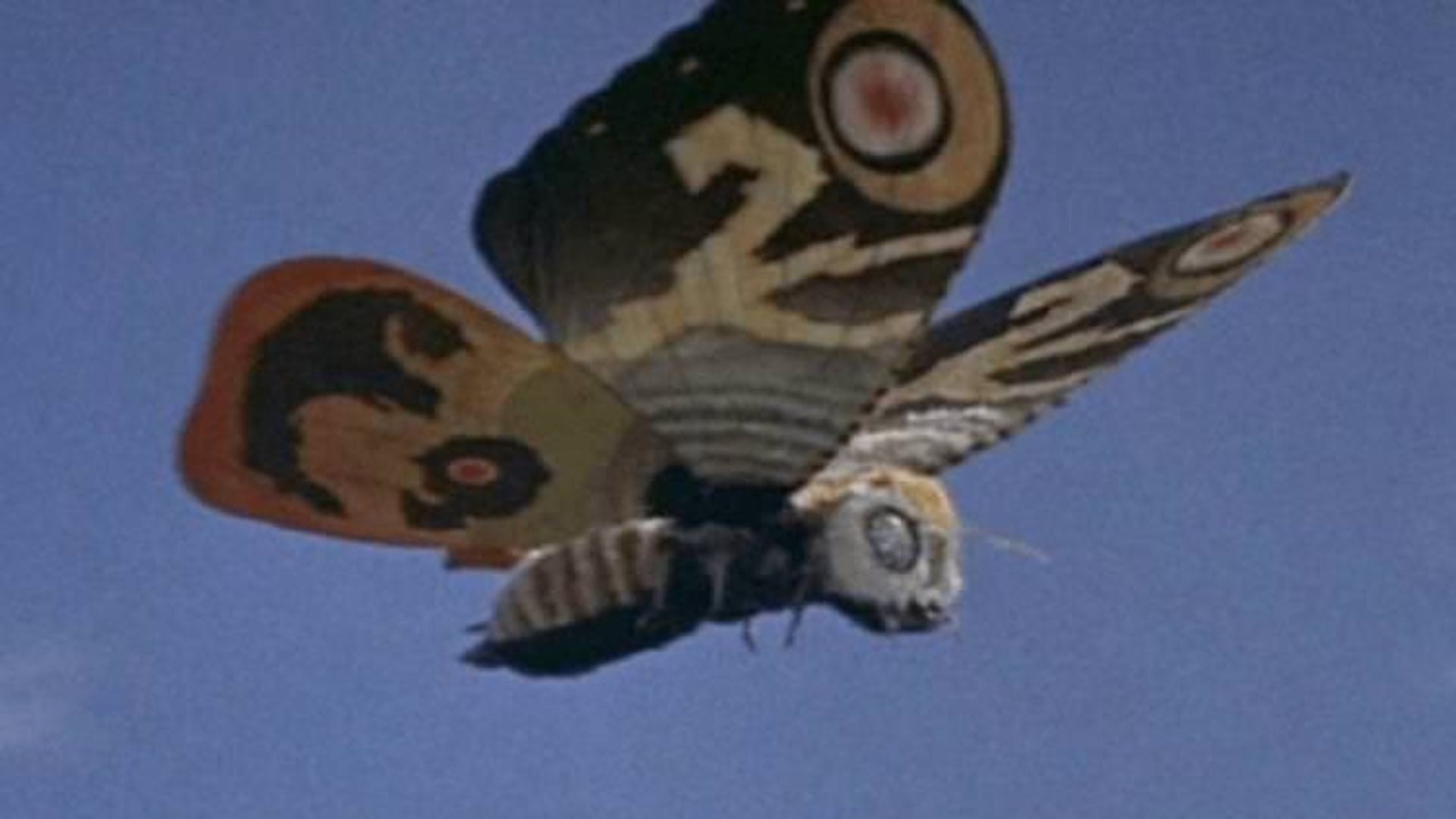 Mothra