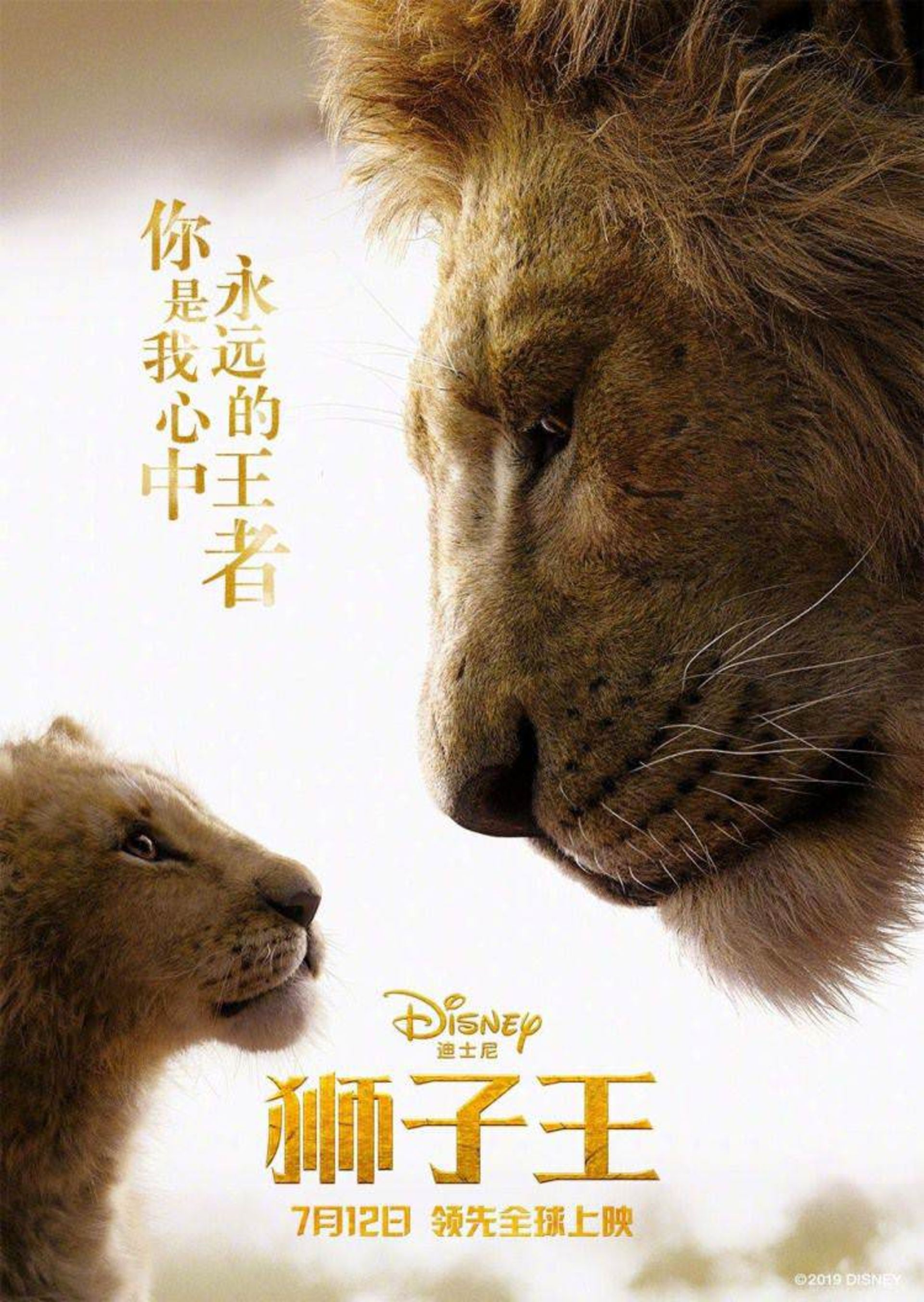پوسترهای فیلم The Lion King