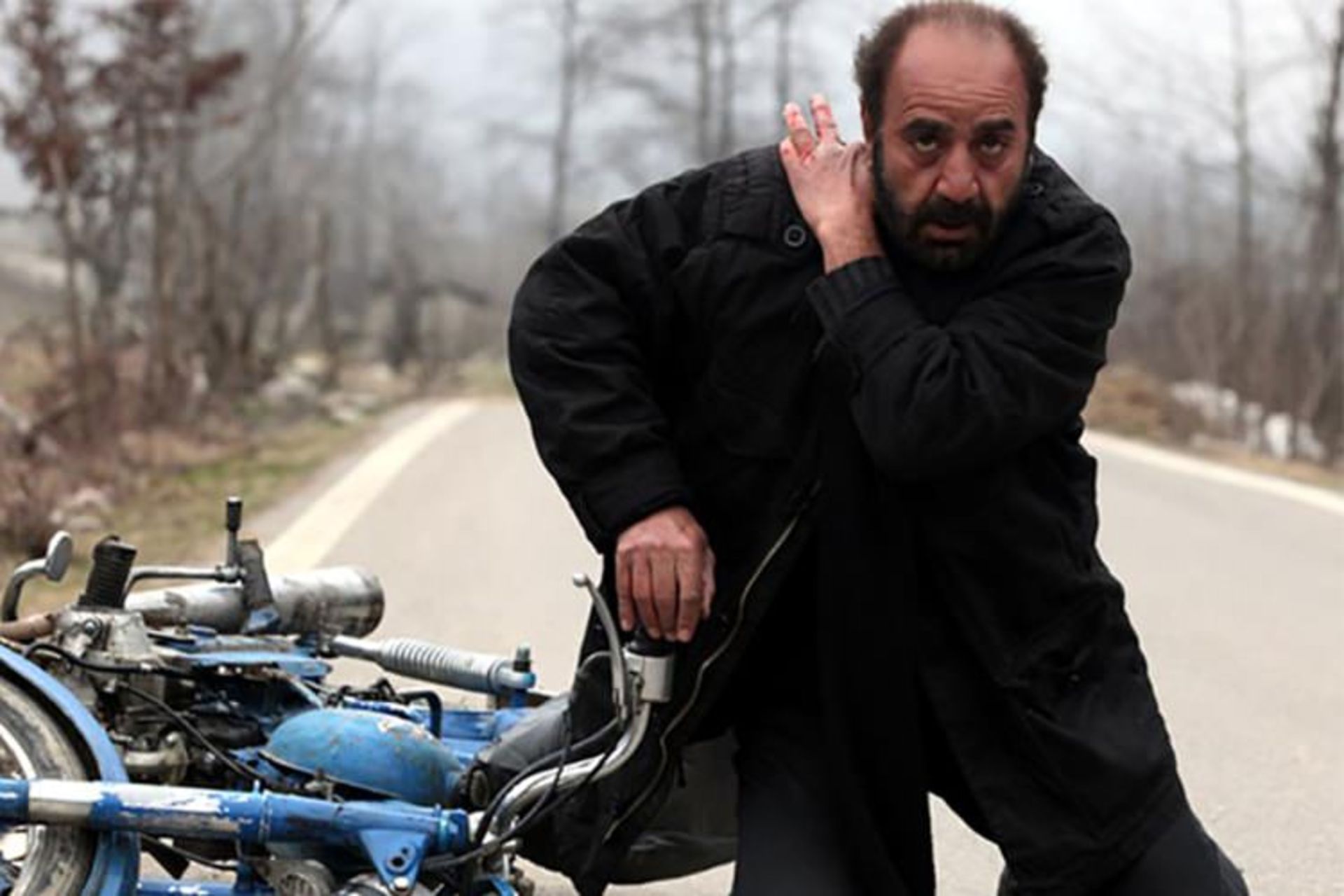 فیلم خرس