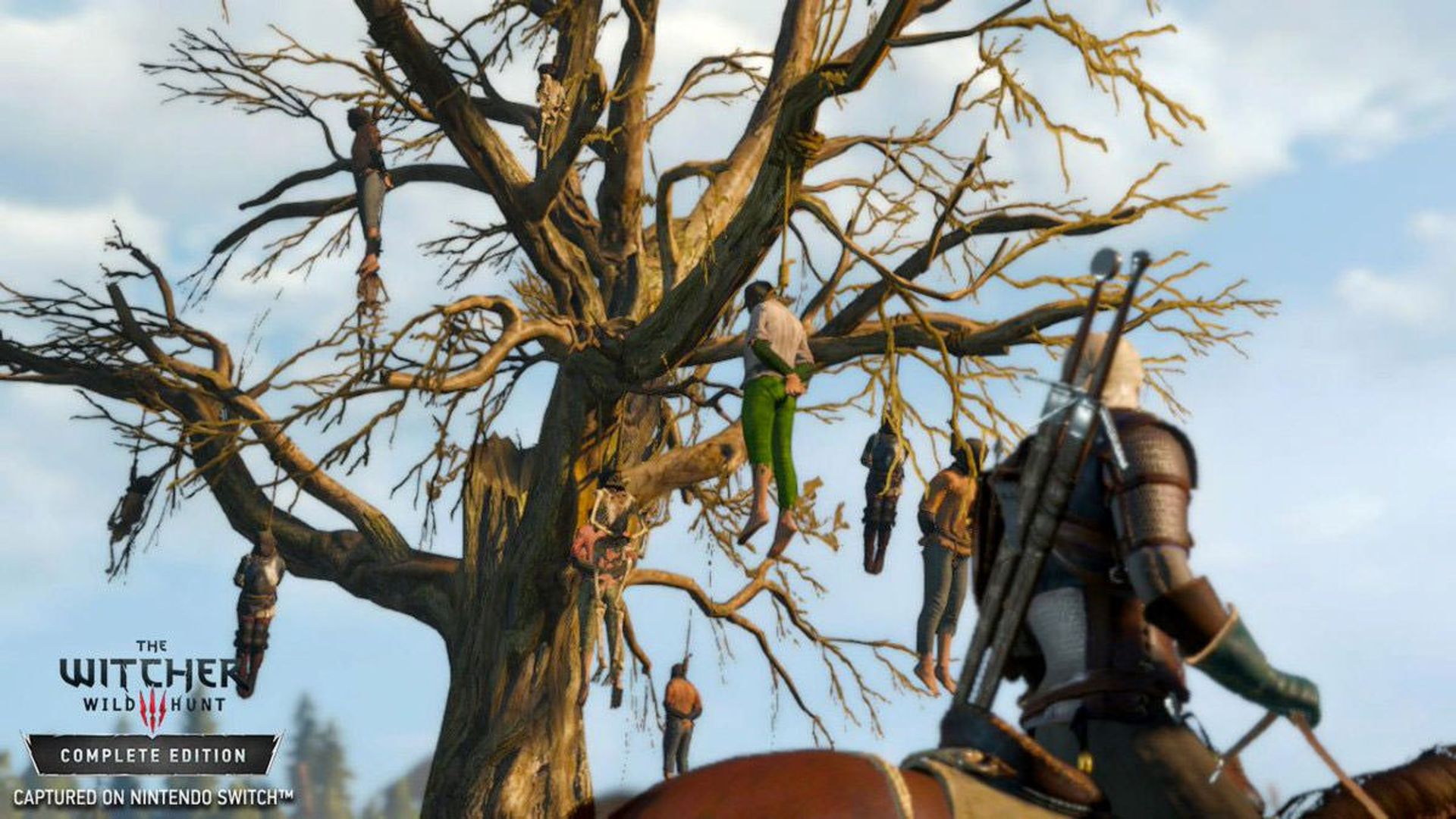 The Witcher 3: Wild Hunt