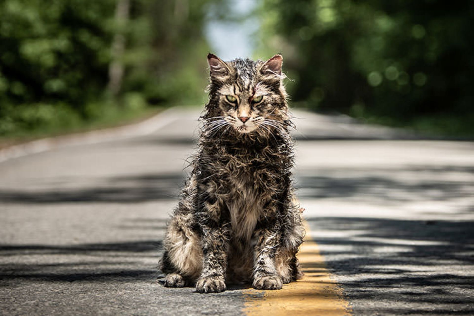 نقد فیلم Pet Sematary