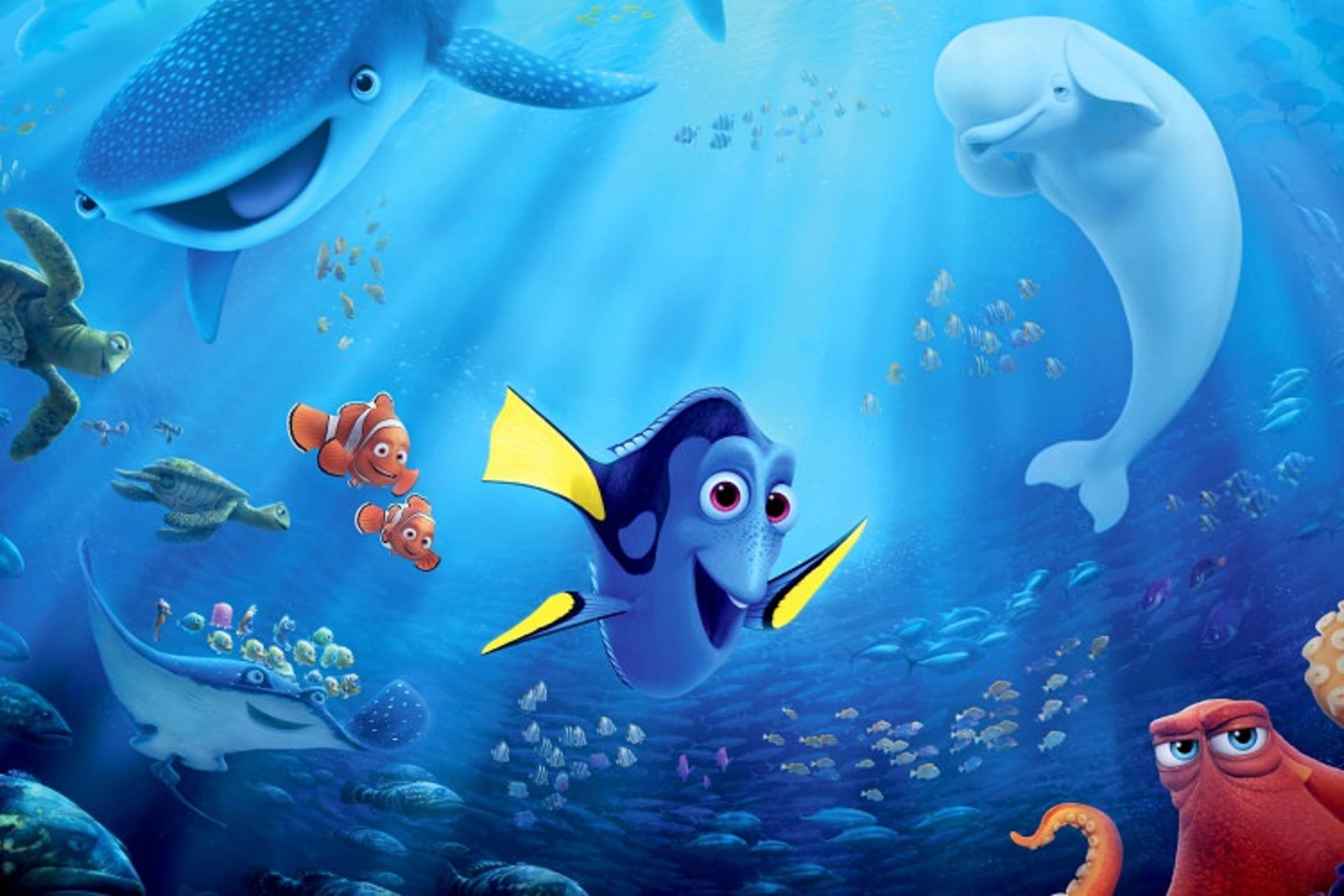 Finding Dory