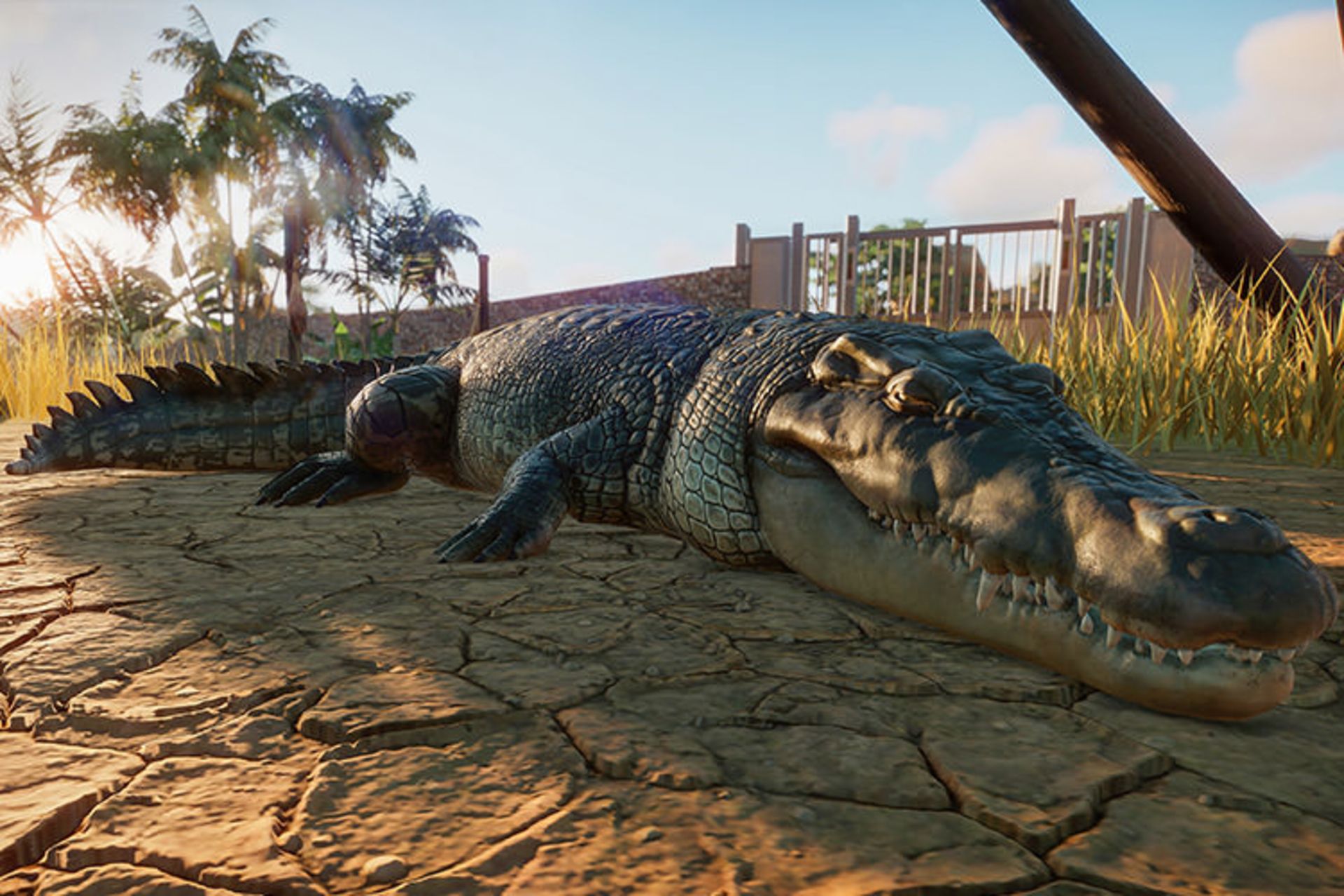 Planet Zoo