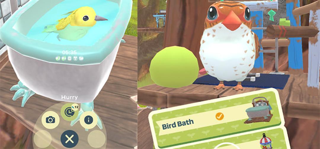 Bird bnb